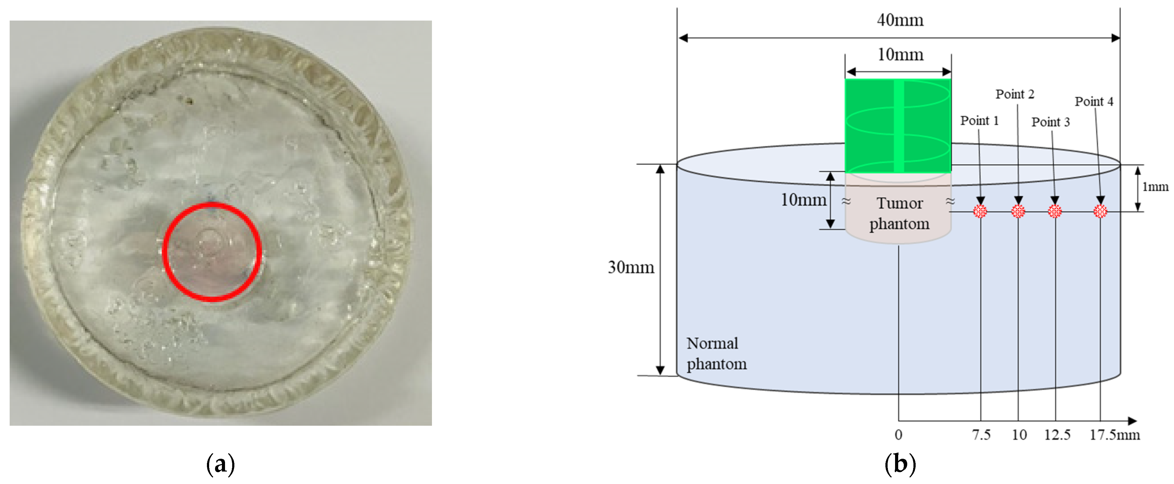 Ijms 22 11091 g002 550