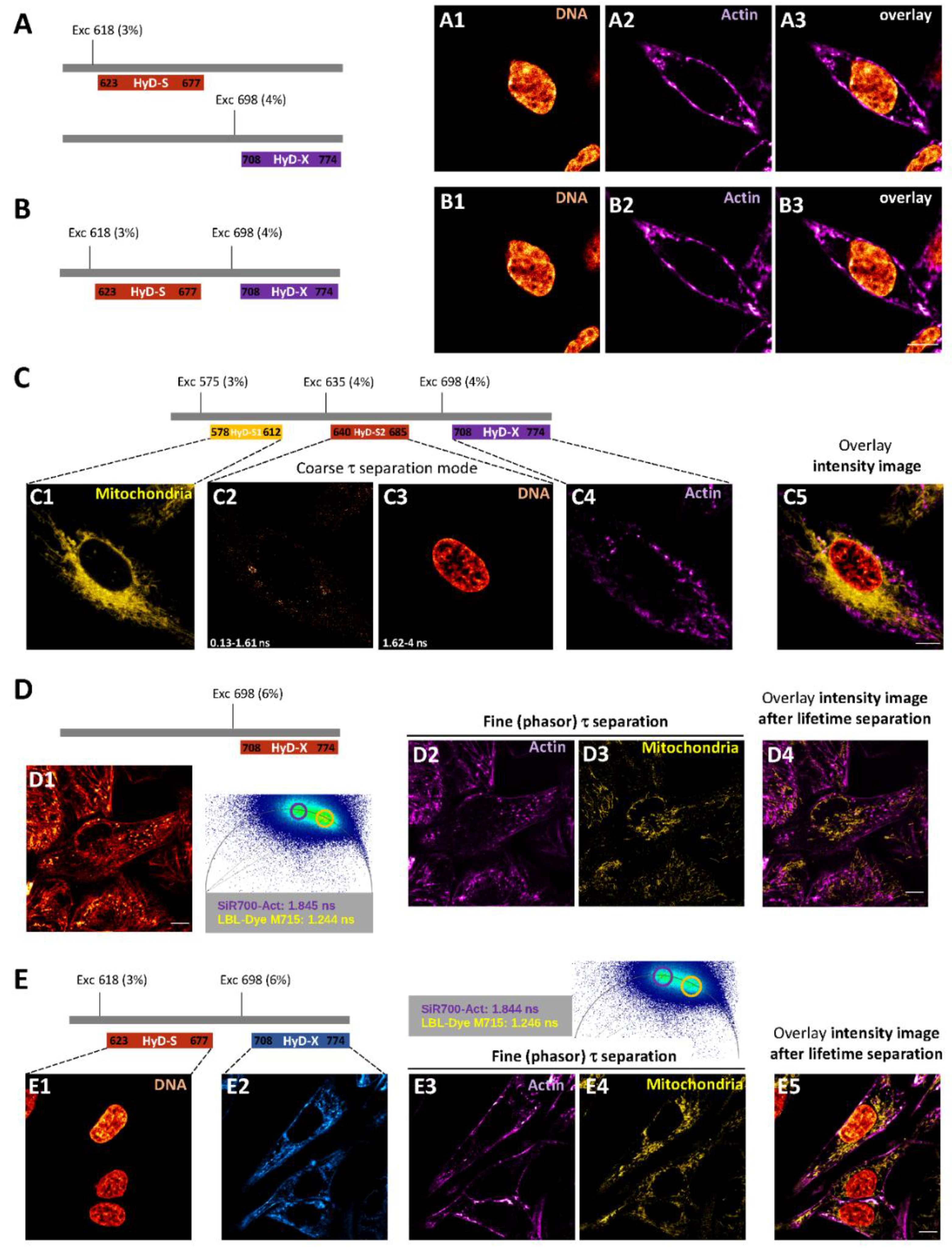 Ijms 22 11092 g004 550