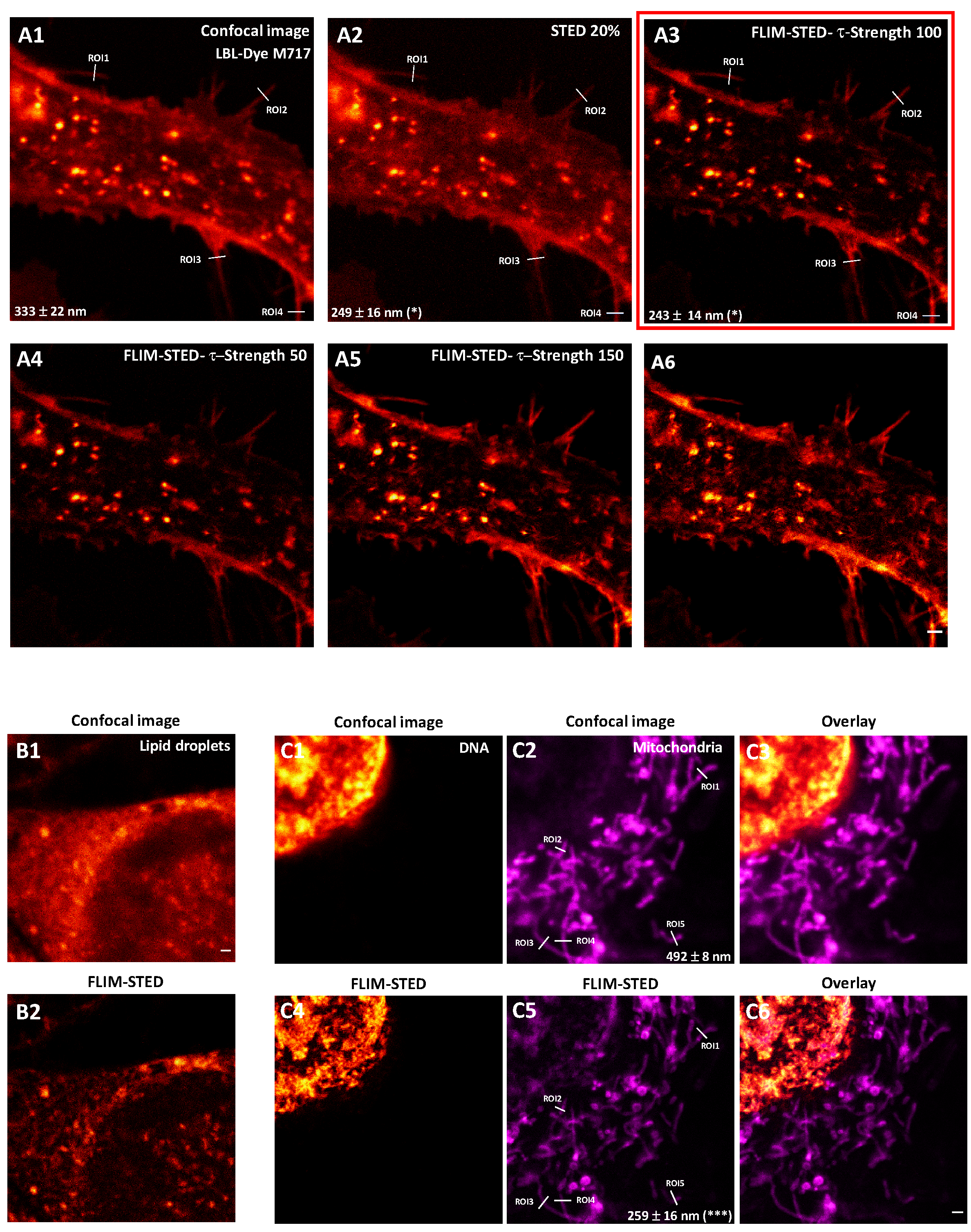 Ijms 22 11092 g007 550