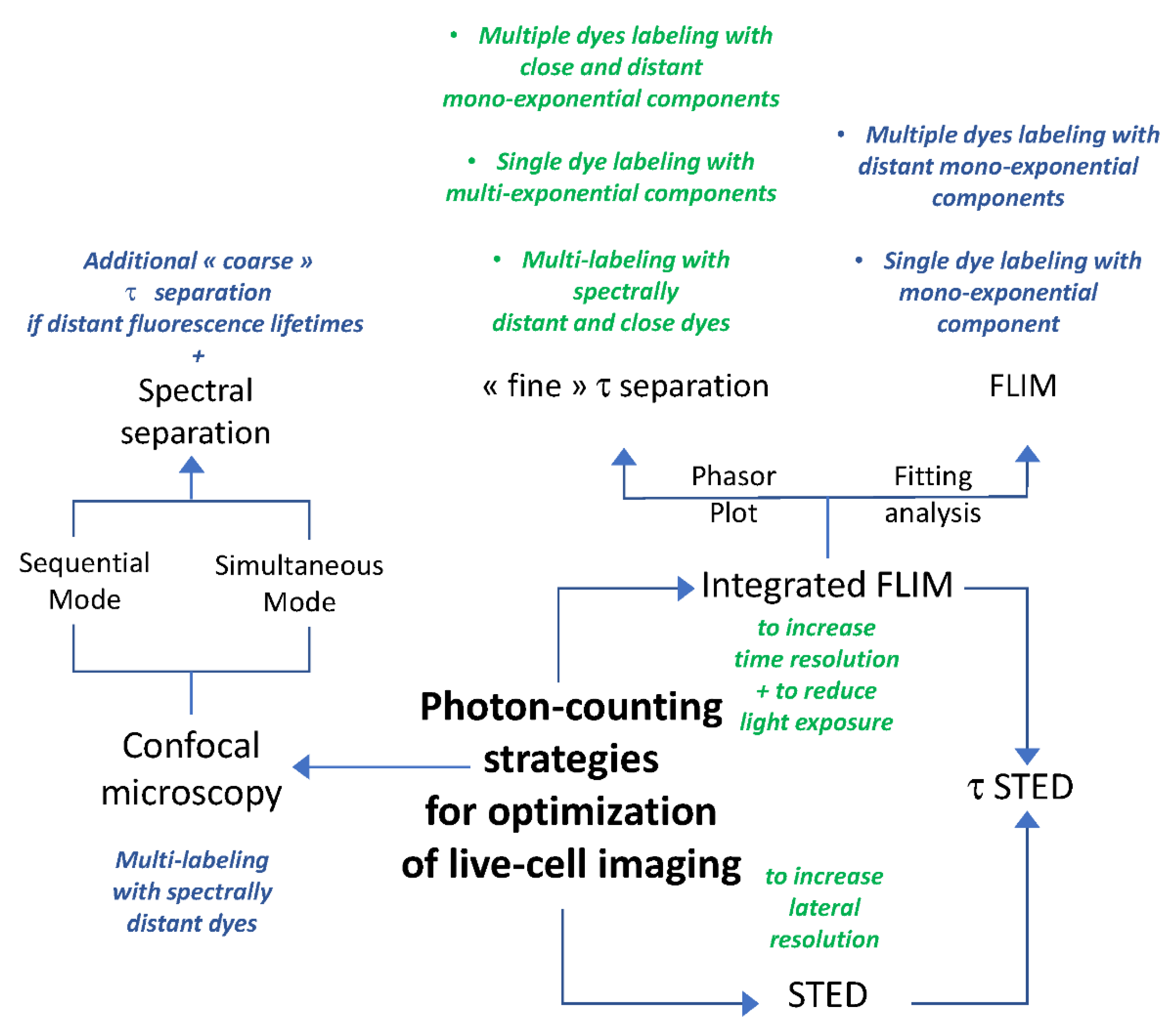 Ijms 22 11092 g009 550