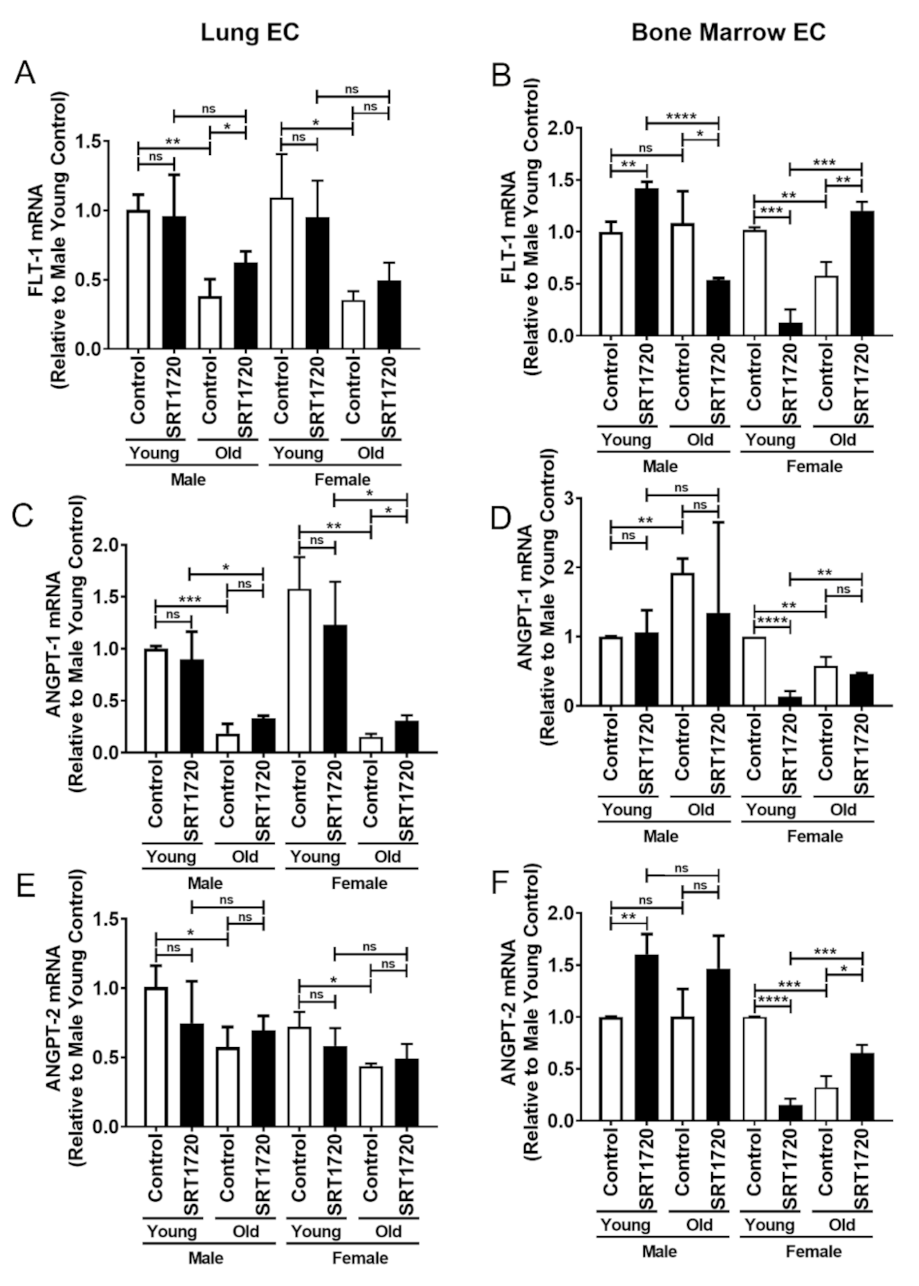 Ijms 22 11097 g002 550