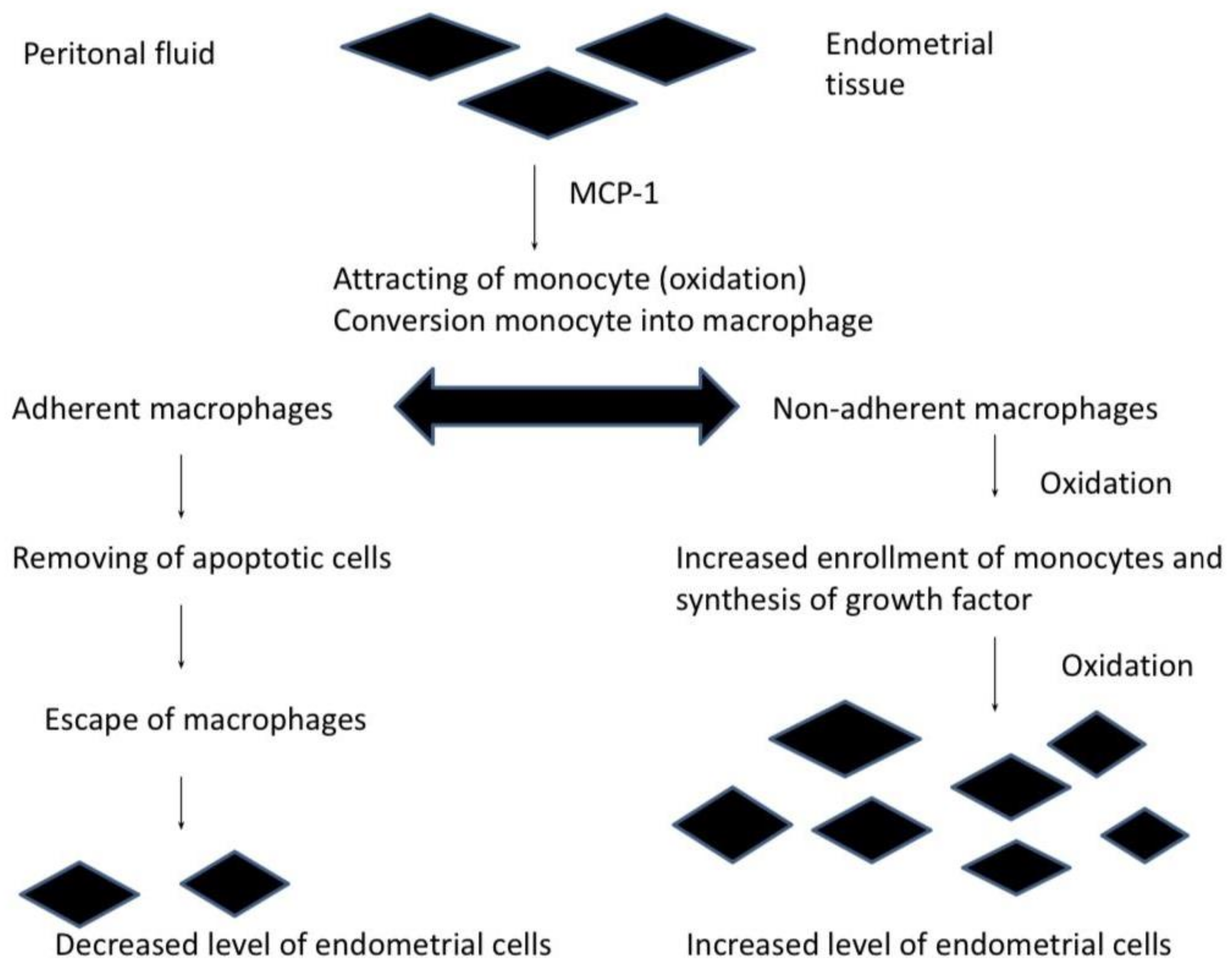 Ijms 22 11098 g001 Ijms 22 11098 g001