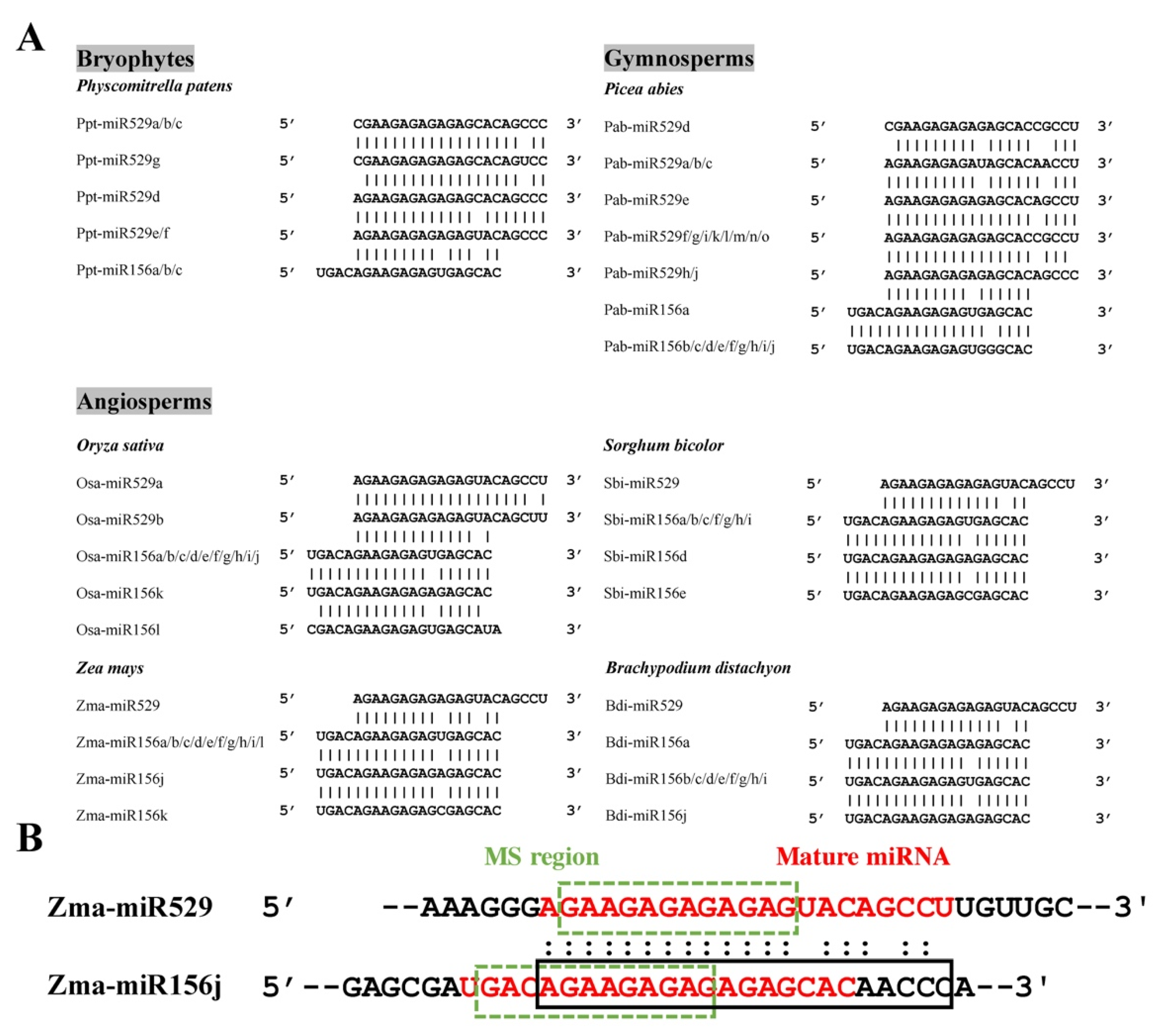 Ijms 22 11100 g001 550
