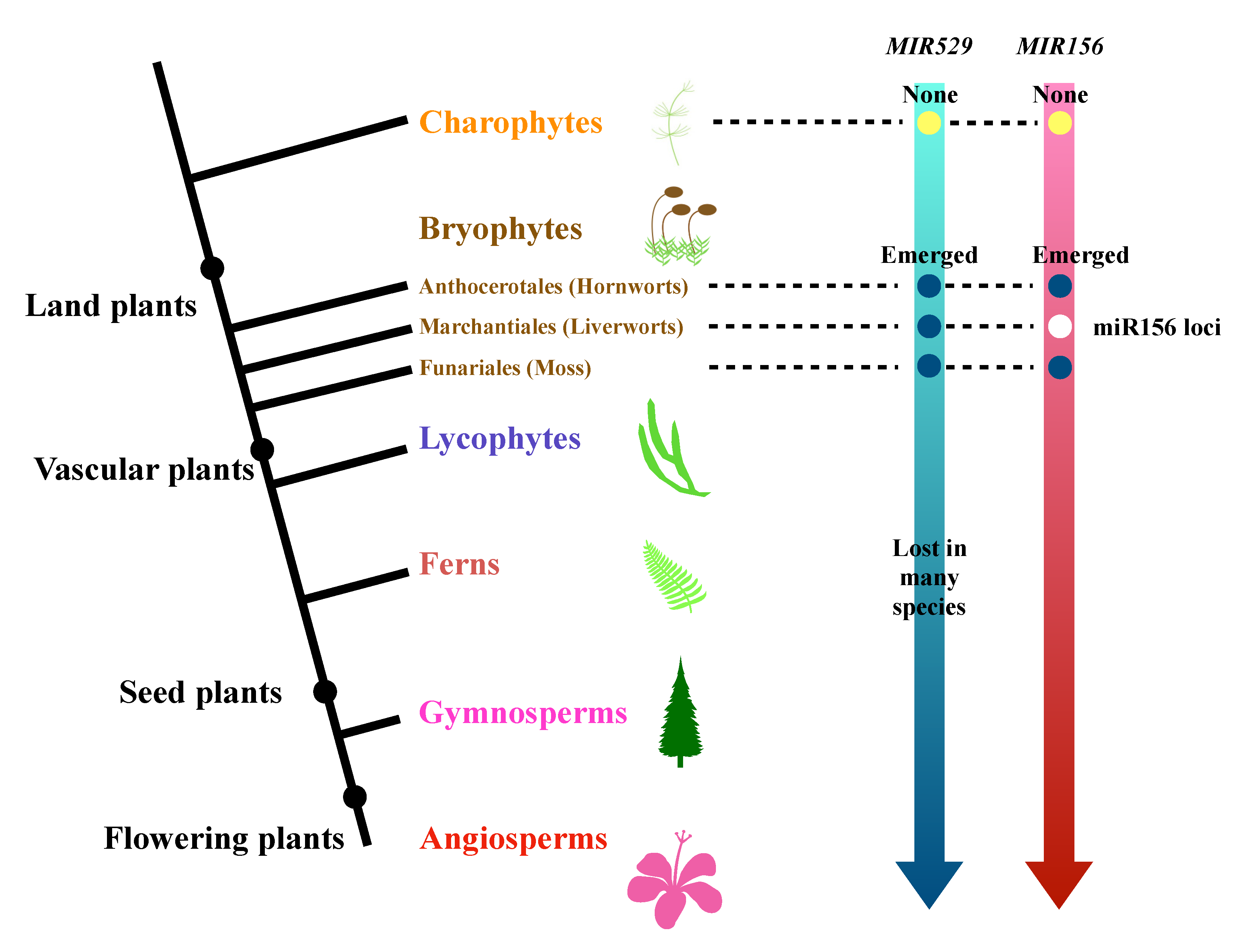 Ijms 22 11100 g003 550