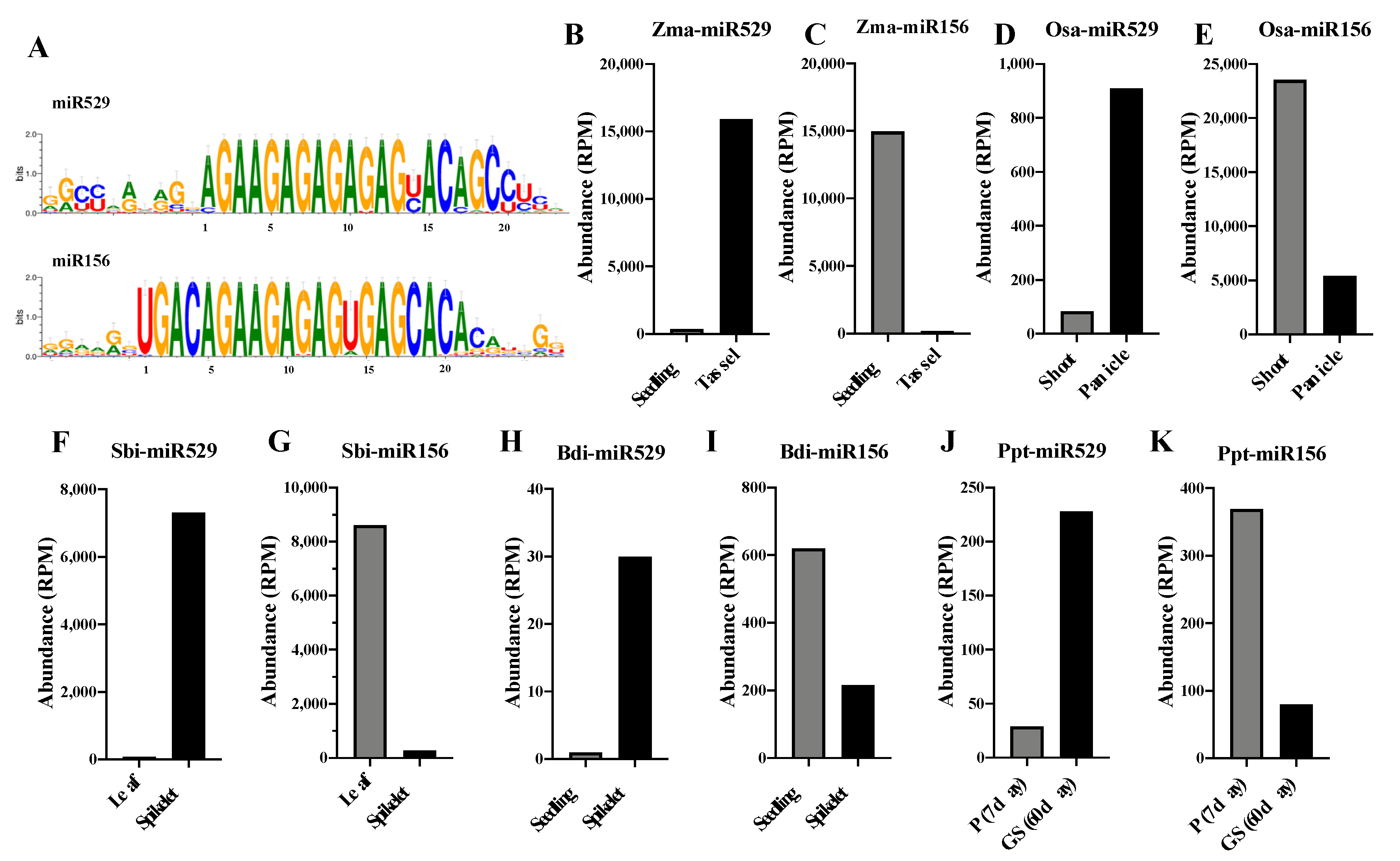 Ijms 22 11100 g004 550