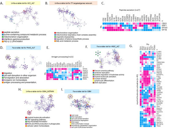 Pan-Cancer Analysis of Clinical Relevance via Telomere Maintenance ...