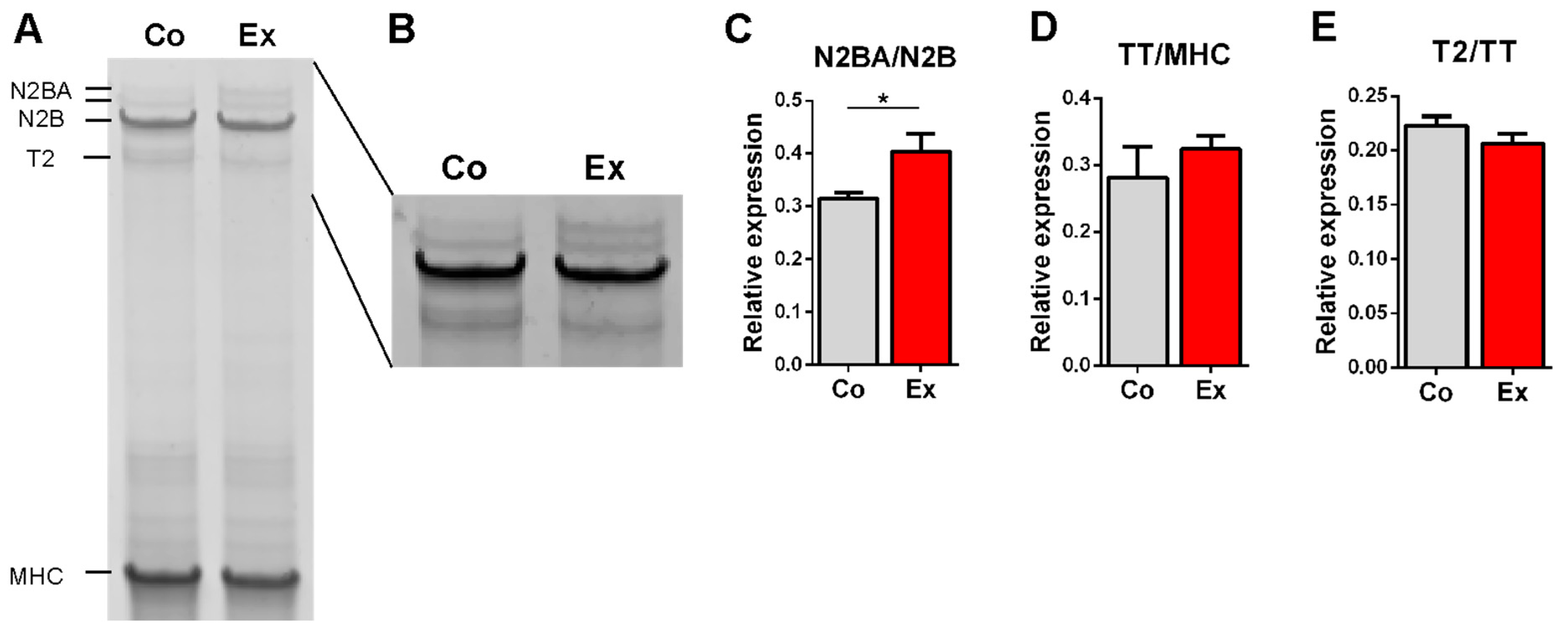 Ijms 22 11110 g001 Ijms 22 11110 g001