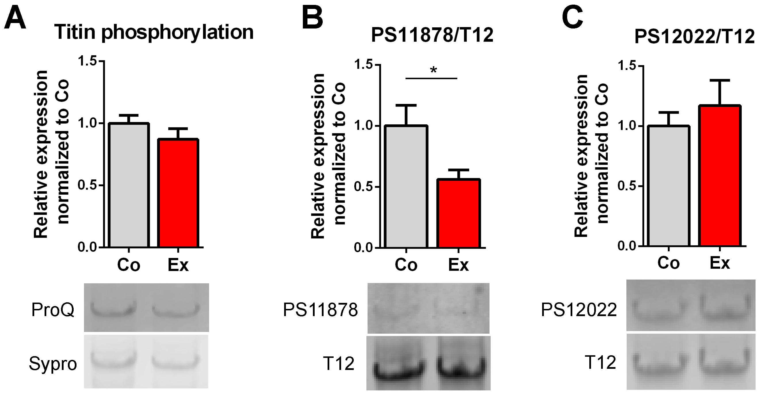 Ijms 22 11110 g002 Ijms 22 11110 g002