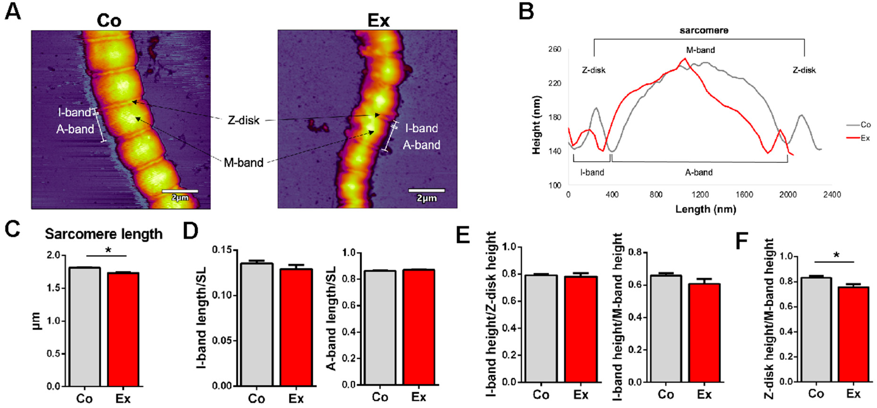 Ijms 22 11110 g003 Ijms 22 11110 g003