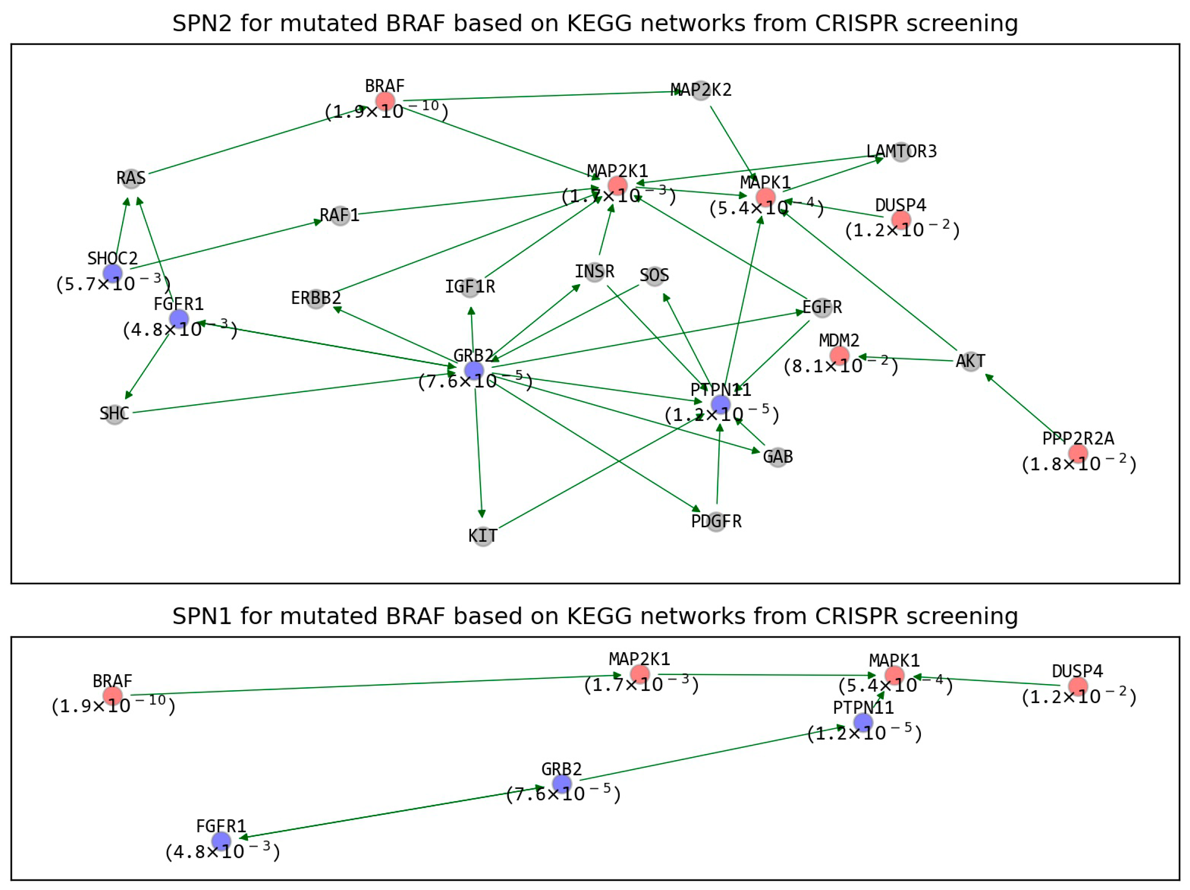 Ijms 22 11114 g004 550
