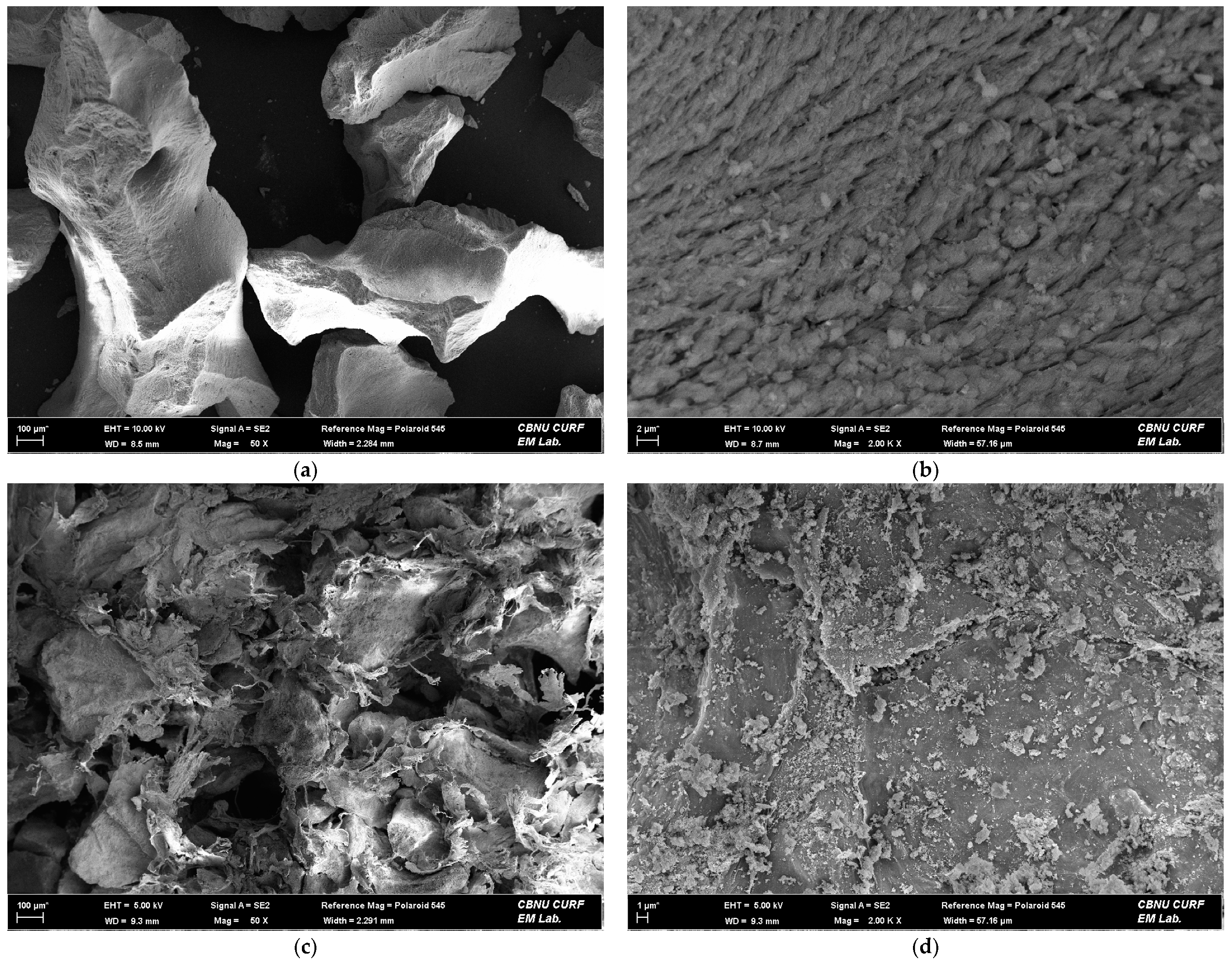 Ijms 22 11121 g001 550