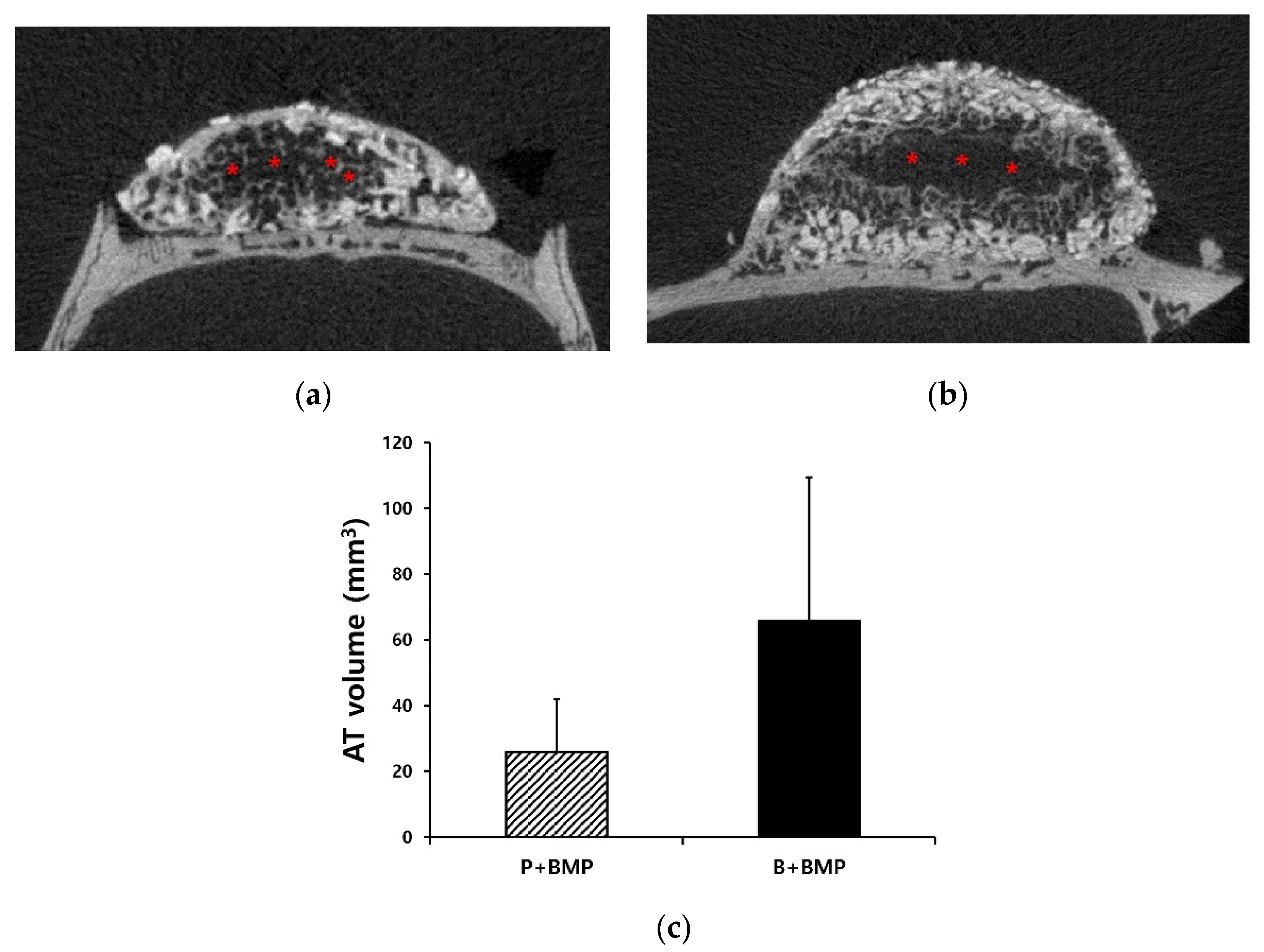 Ijms 22 11121 g004 550
