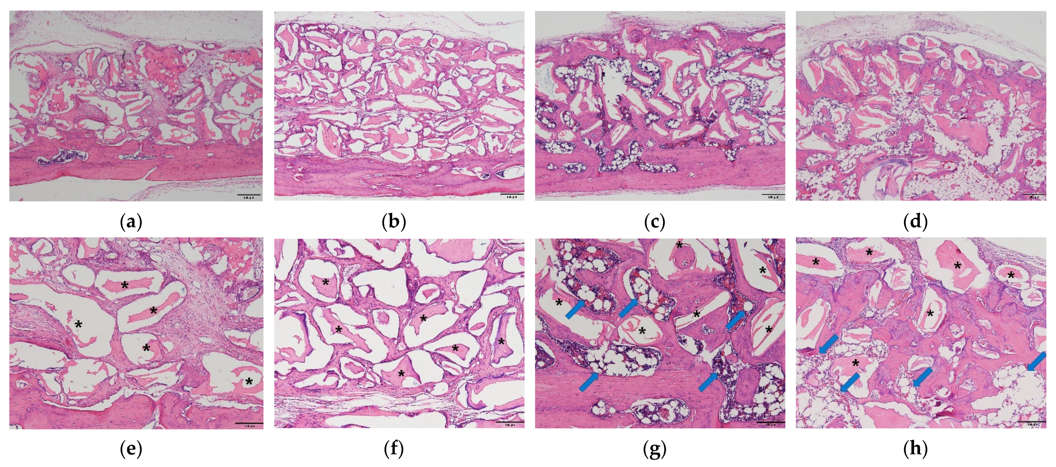 Ijms 22 11121 g005 550