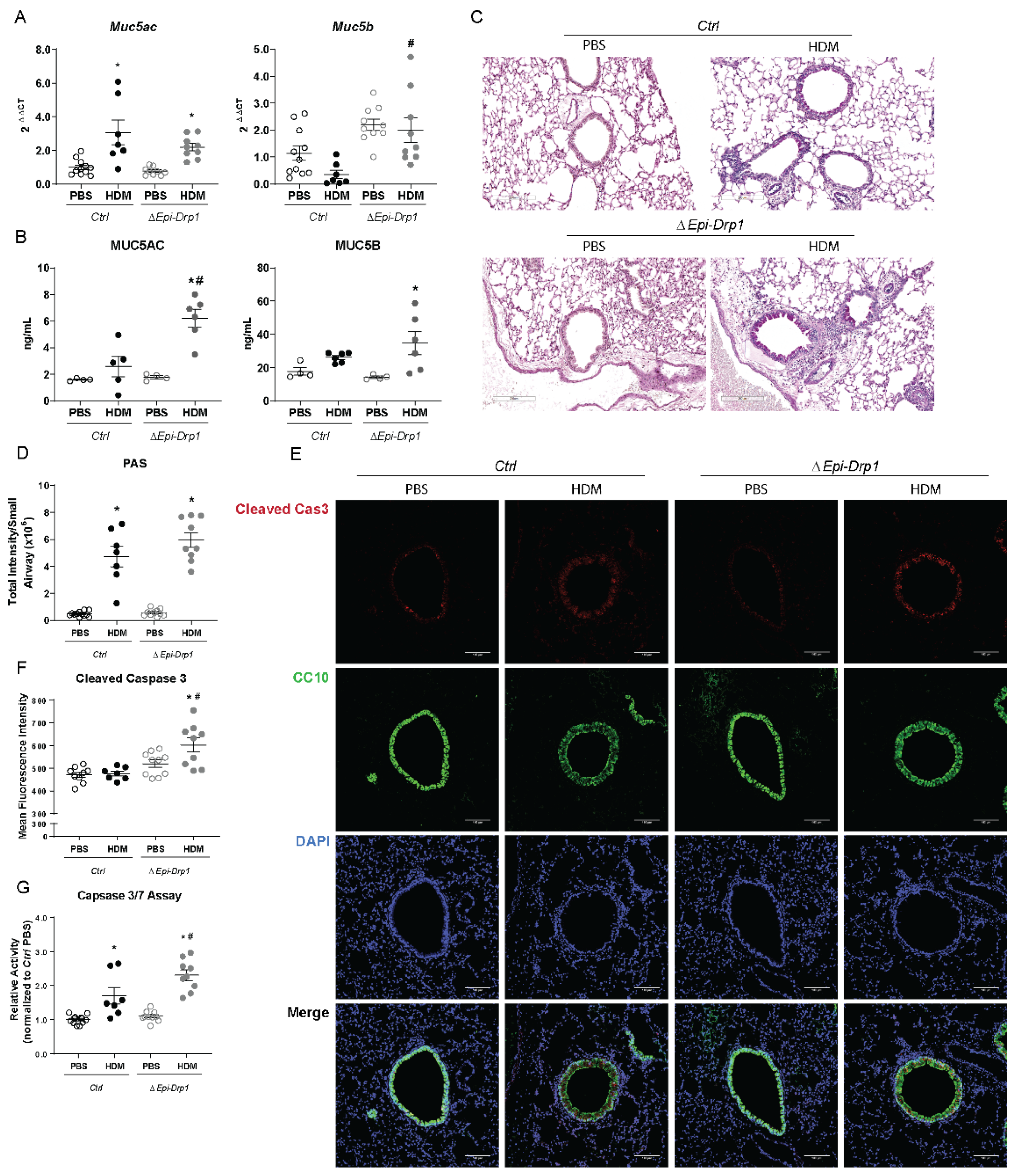 Ijms 22 11125 g004 550