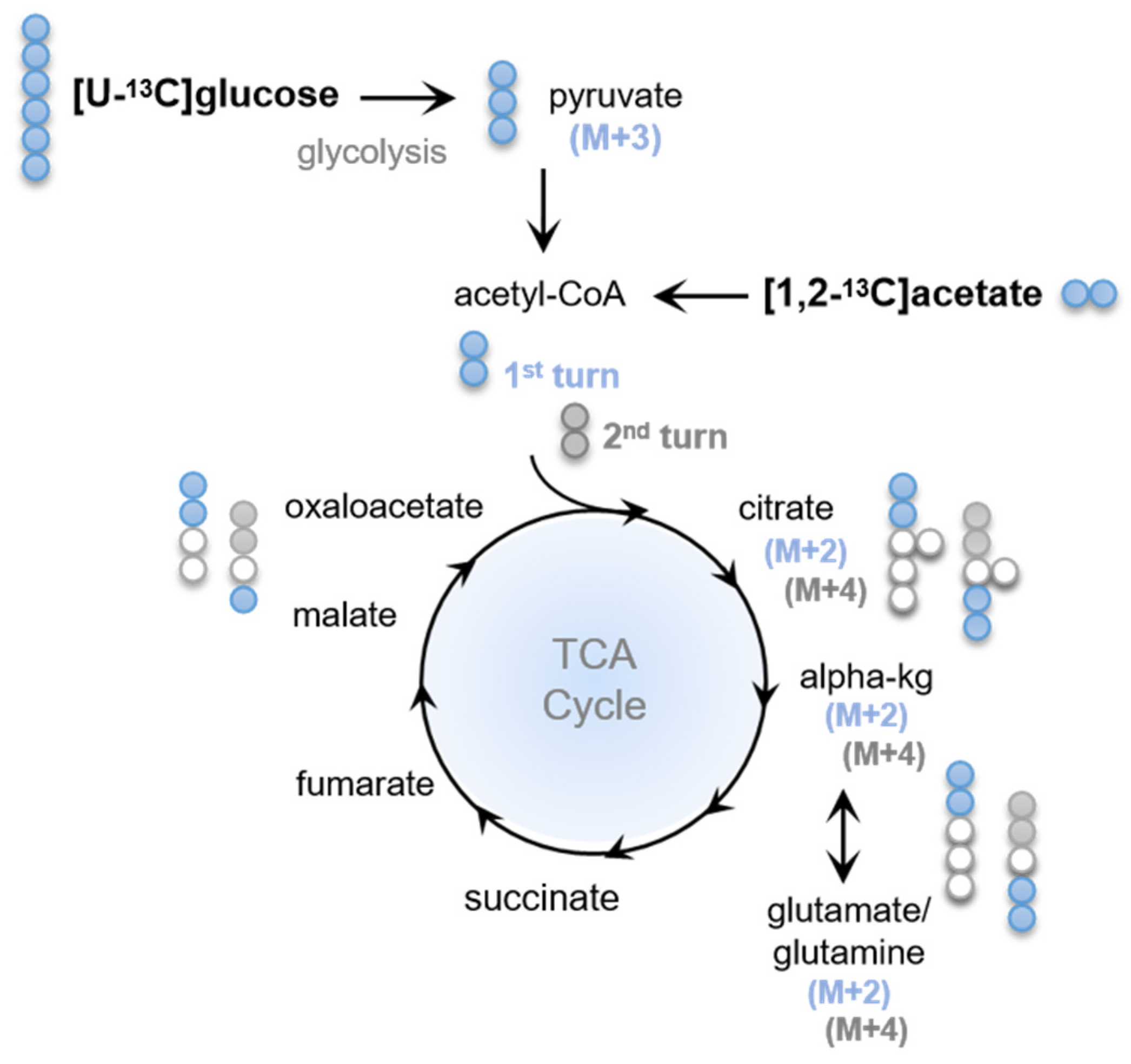 Ijms 22 11127 sch001