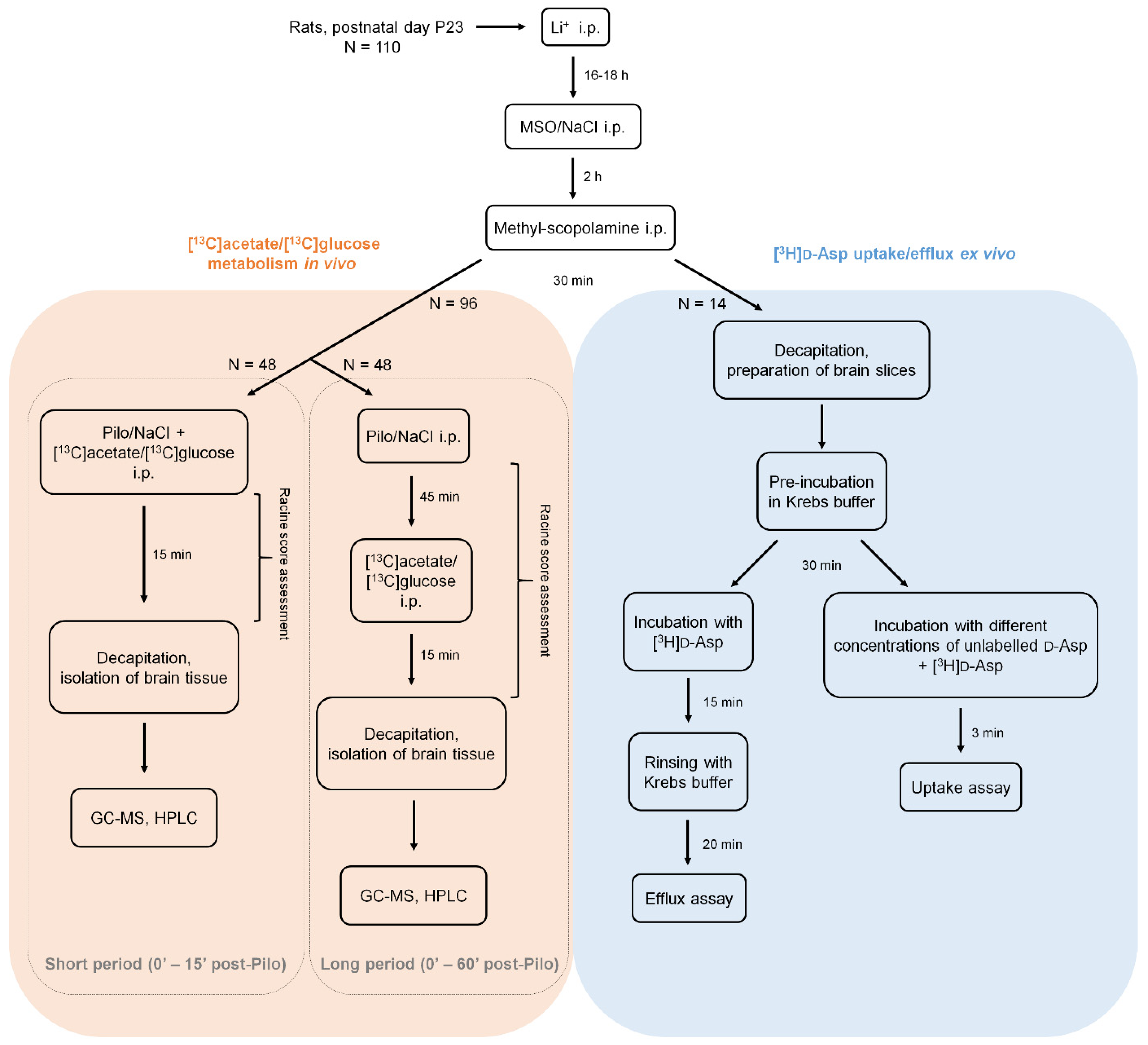 Ijms 22 11127 sch002