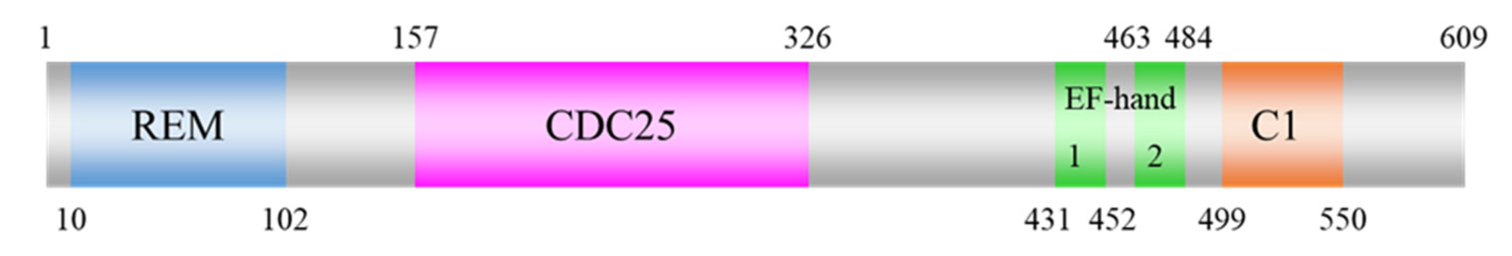 Ijms 22 11129 g001 Ijms 22 11129 g001