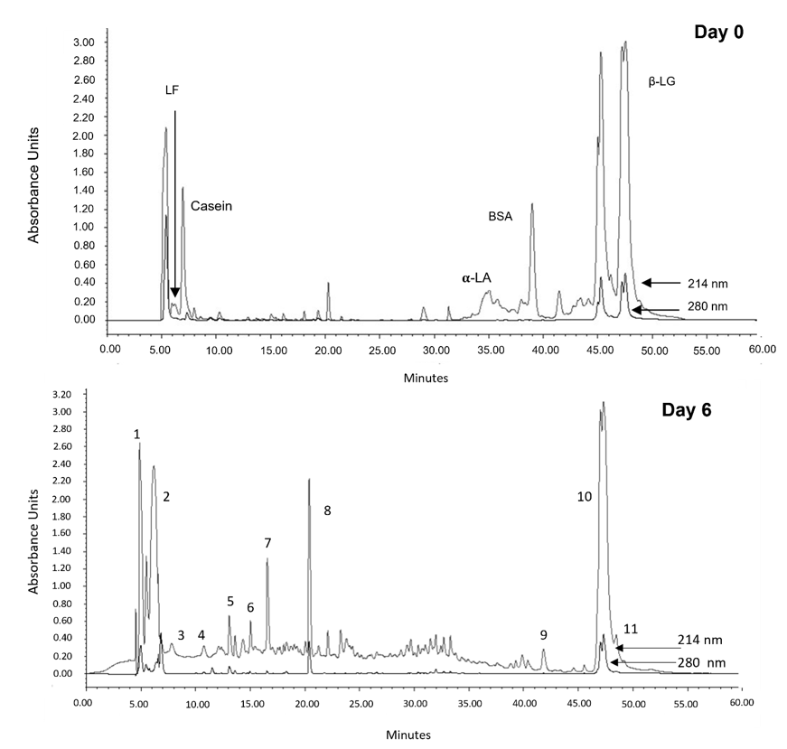 Ijms 22 11130 g003 550