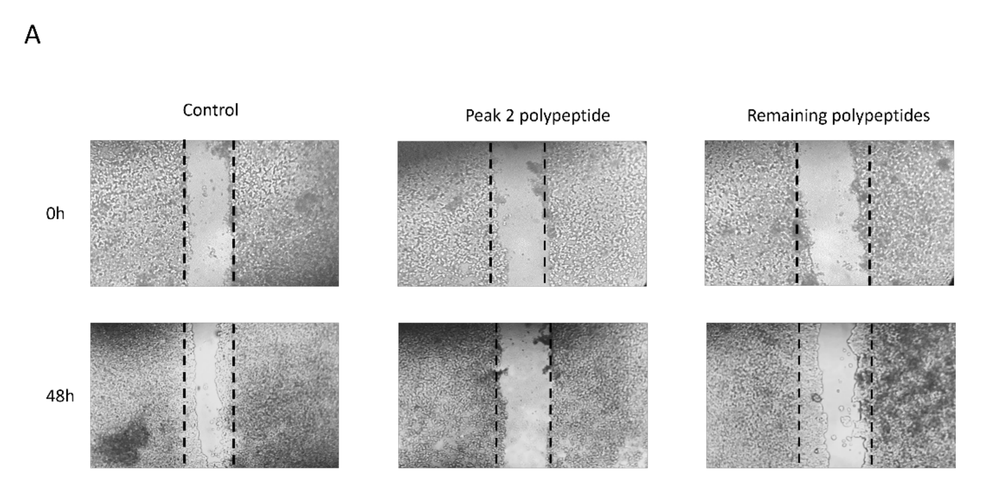 Ijms 22 11130 g006a 550