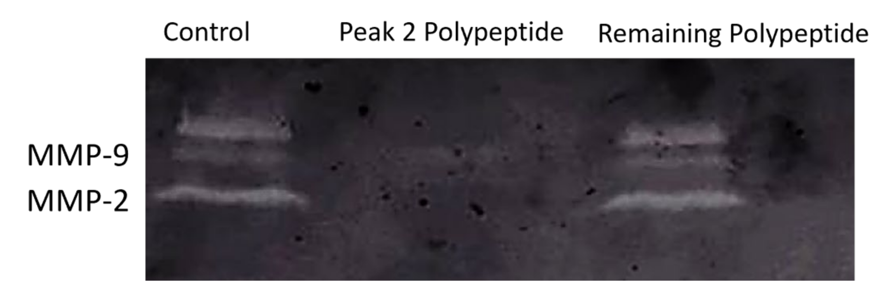 Ijms 22 11130 g007 550