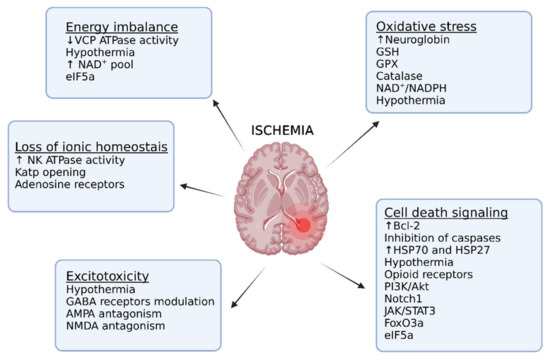 Mosaic theory revised: inflammation and salt play central