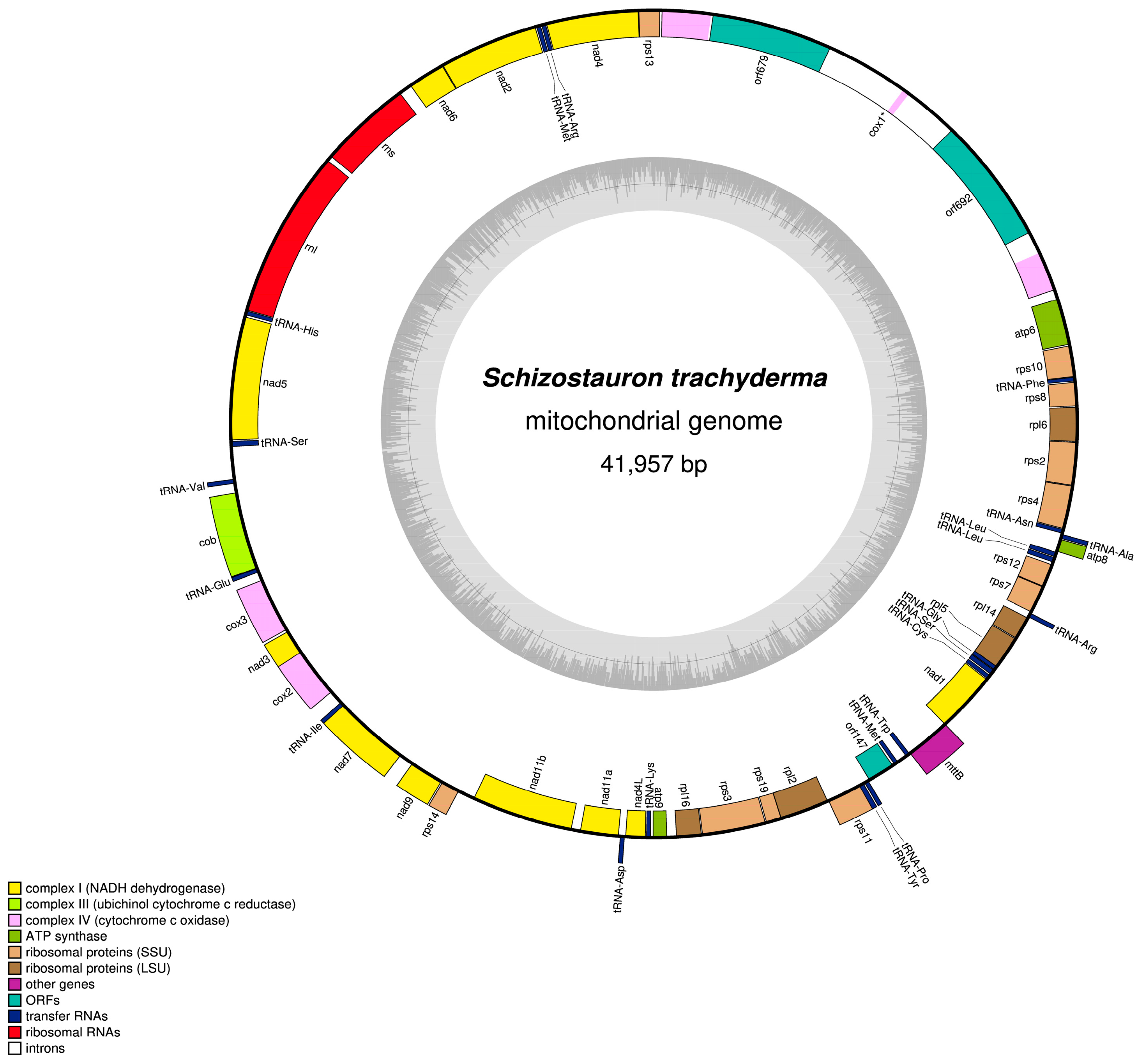 Ijms 22 11139 g002 Ijms 22 11139 g002