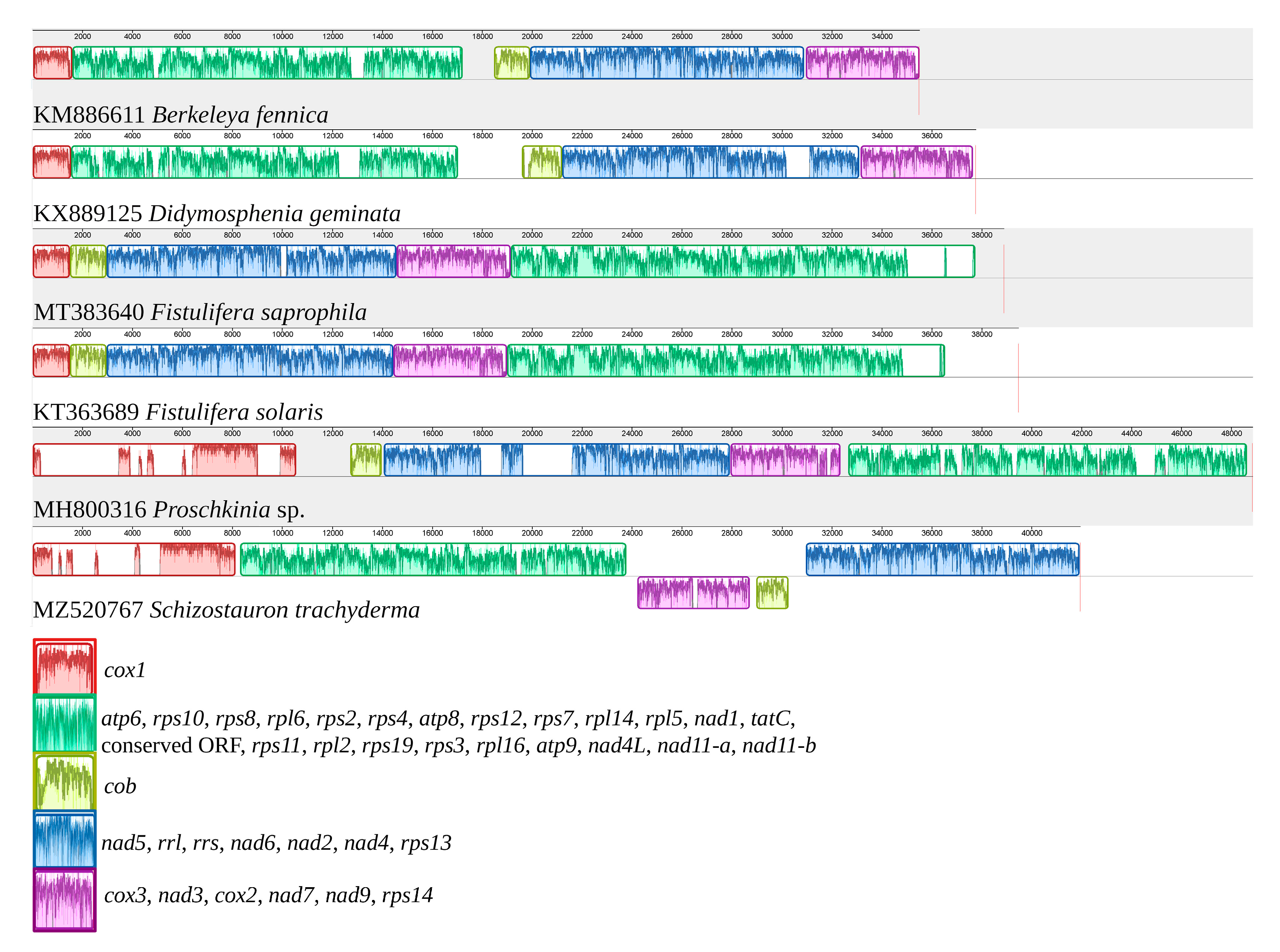 Ijms 22 11139 g003 Ijms 22 11139 g003