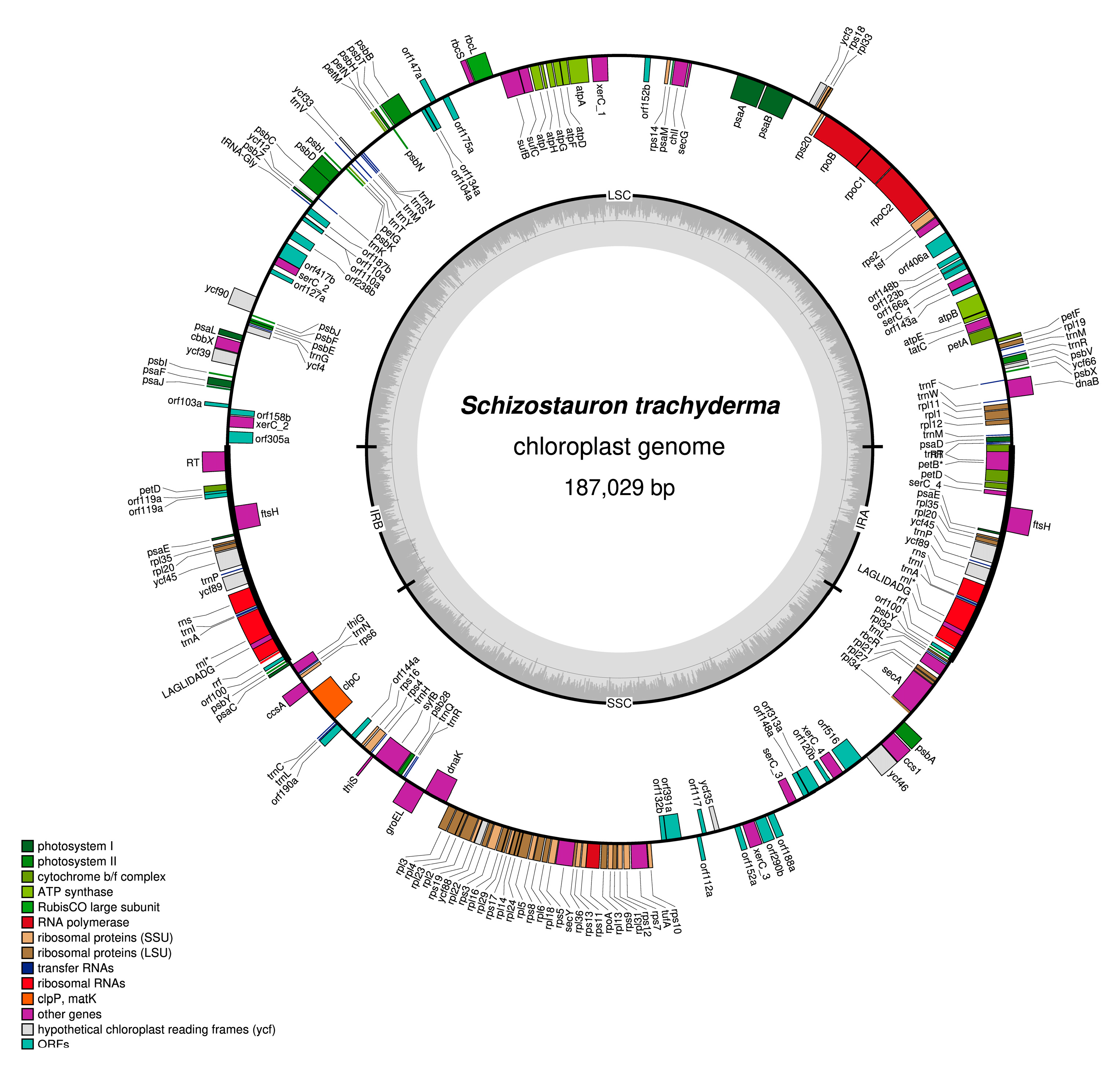 Ijms 22 11139 g004 Ijms 22 11139 g004