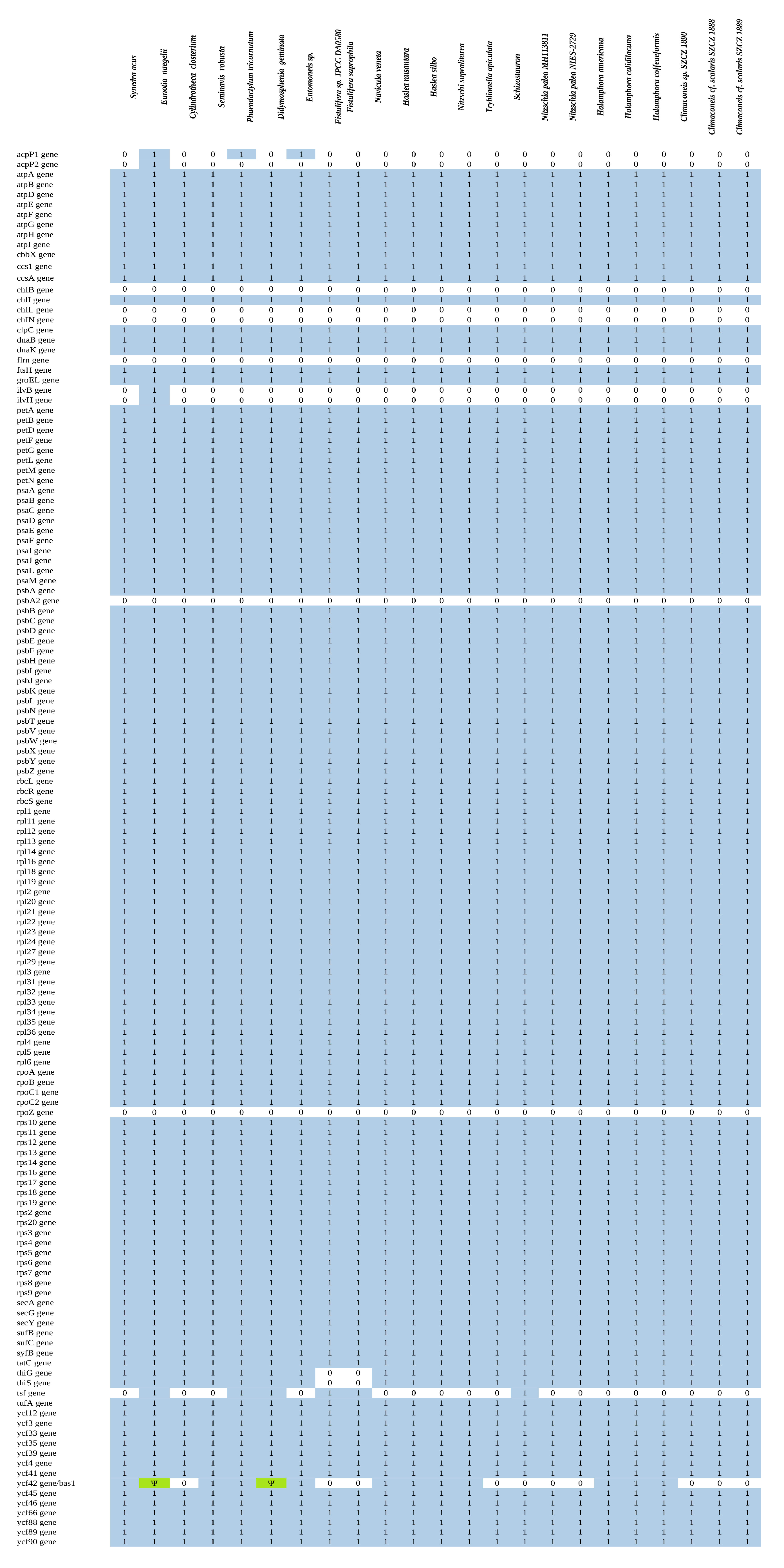 Ijms 22 11139 g006 Ijms 22 11139 g006