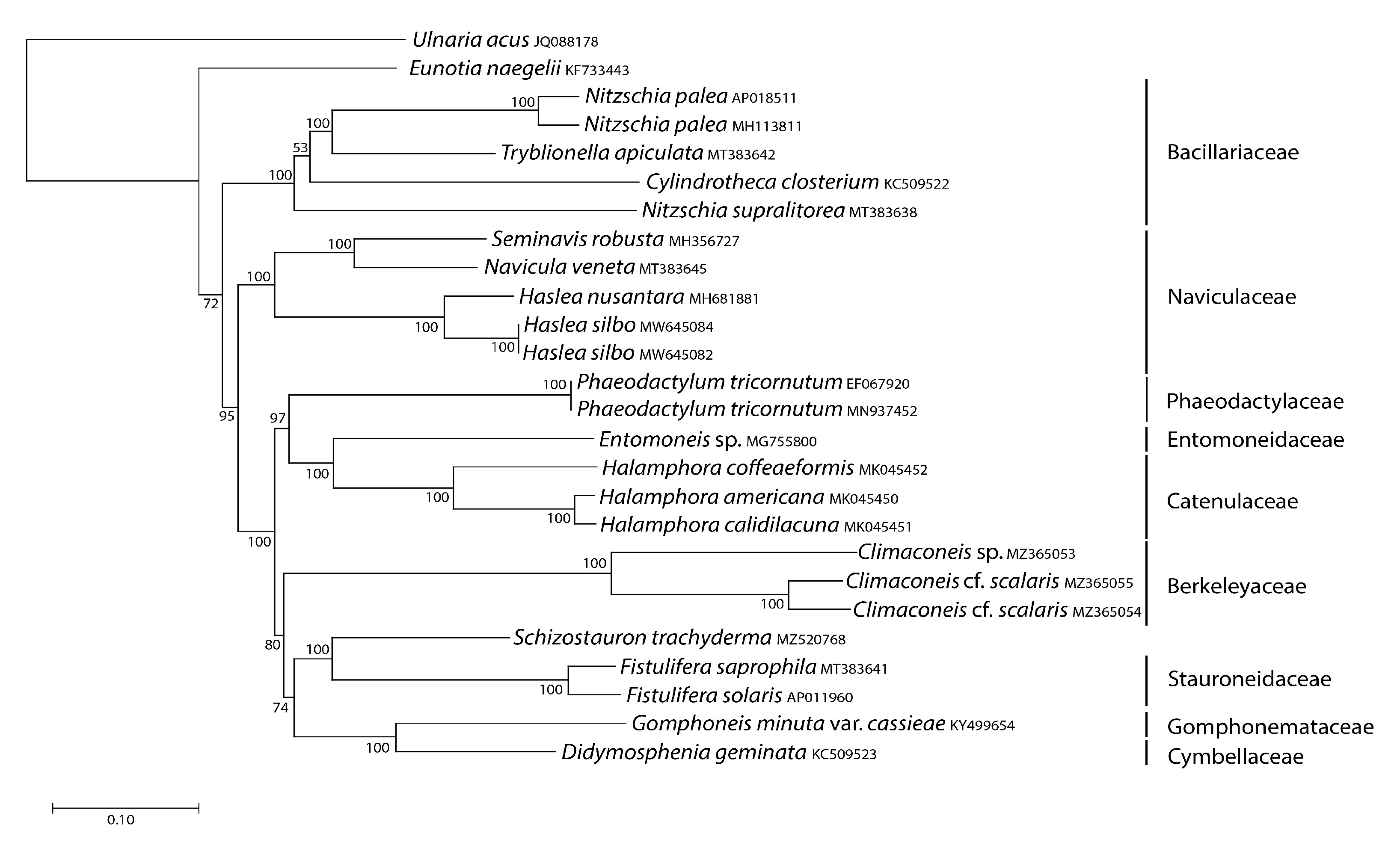 Ijms 22 11139 g008 Ijms 22 11139 g008