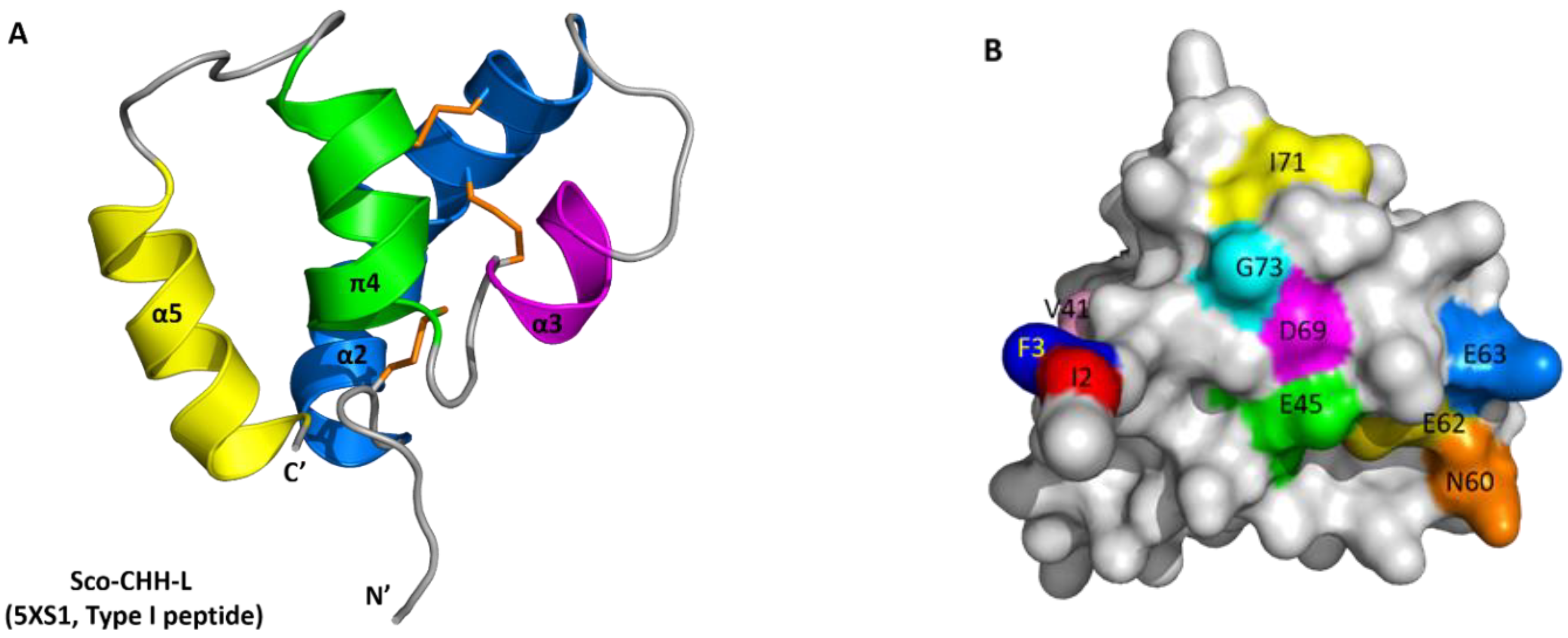 Ijms 22 11142 g002a Ijms 22 11142 g002a