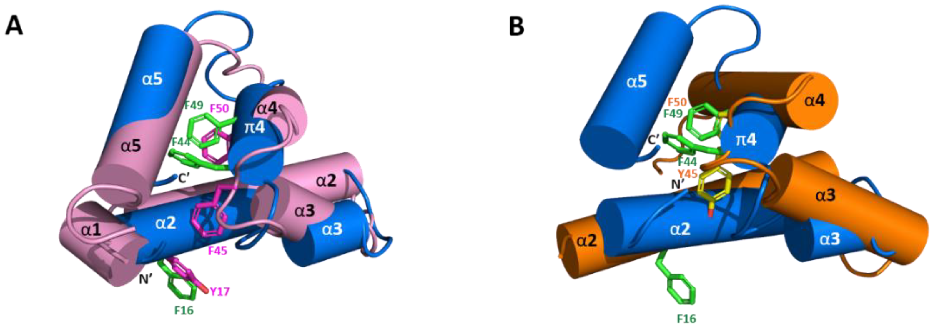 Ijms 22 11142 g004 Ijms 22 11142 g004