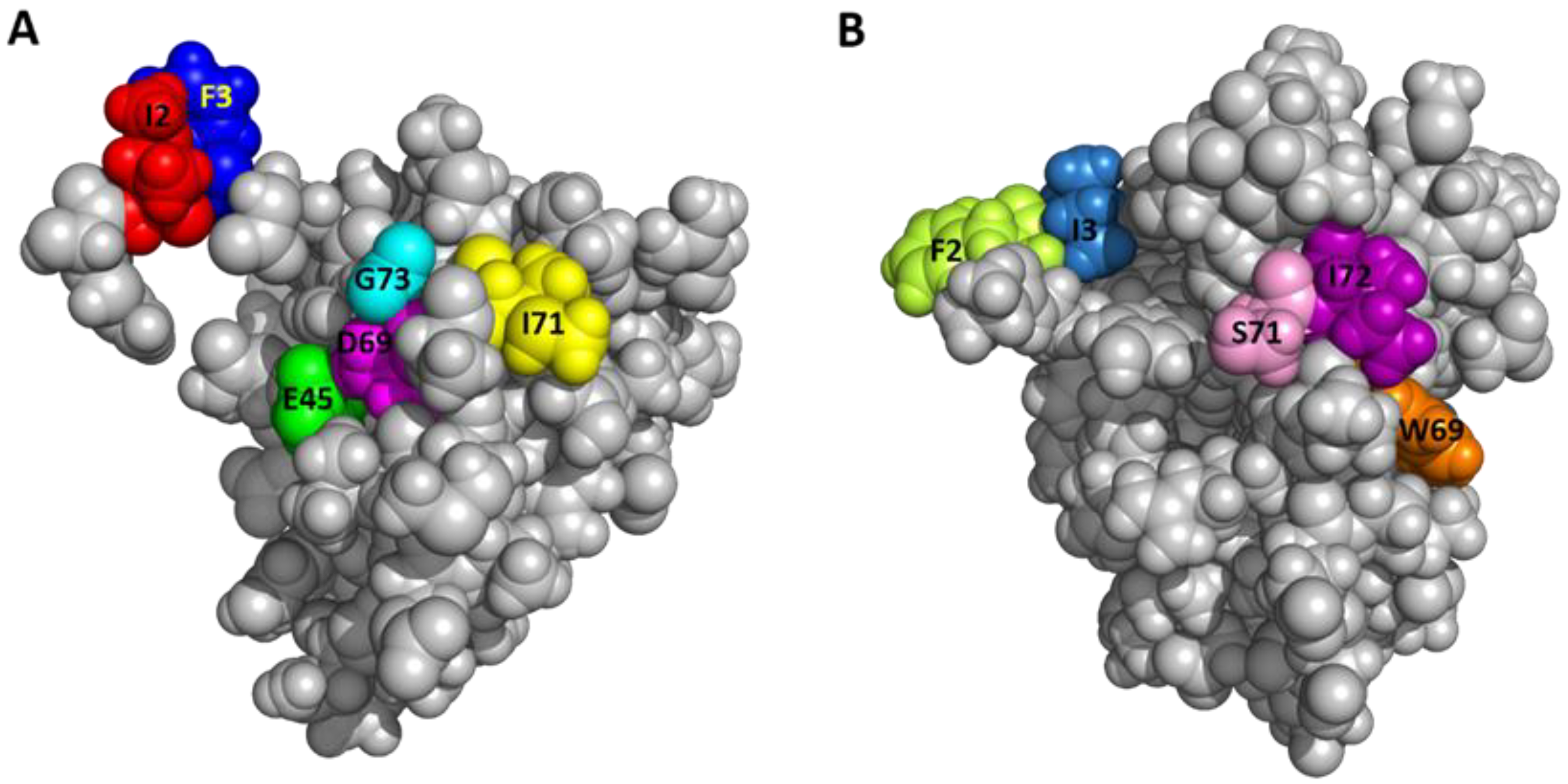 Ijms 22 11142 g006 Ijms 22 11142 g006