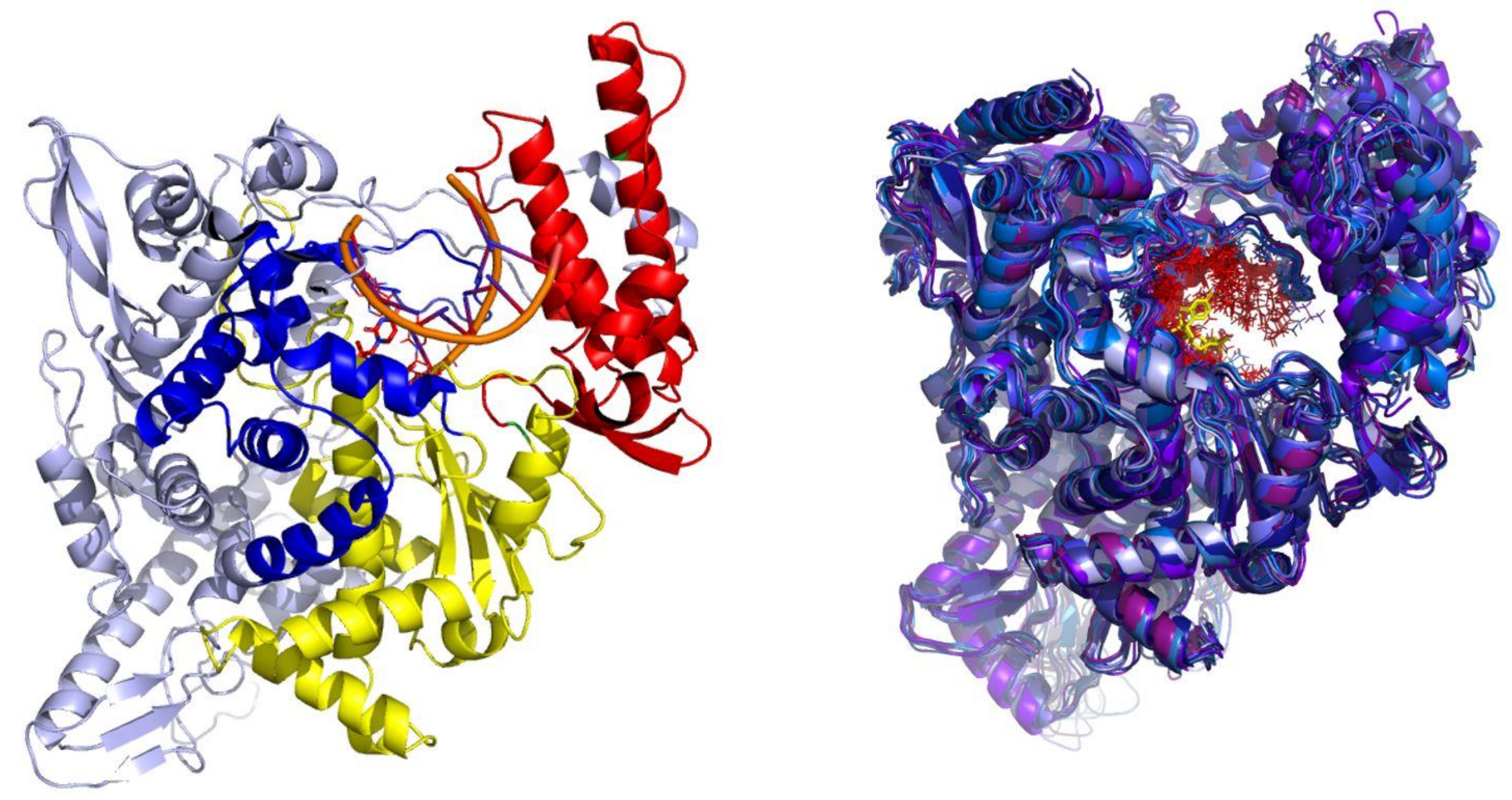 Ijms 22 11143 g005 550