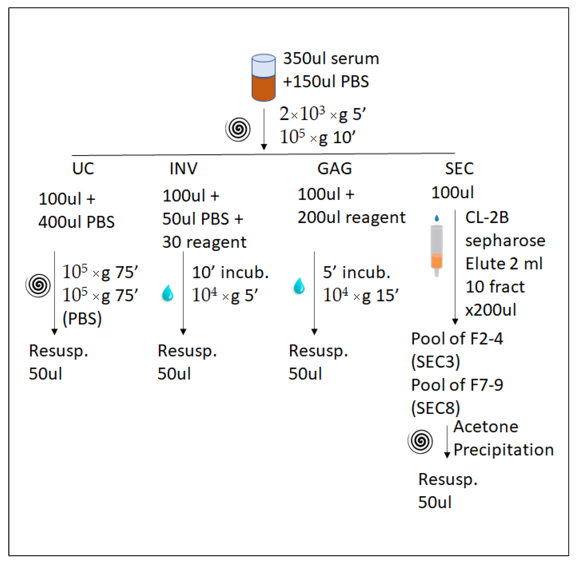 Ijms 22 11144 g001 550