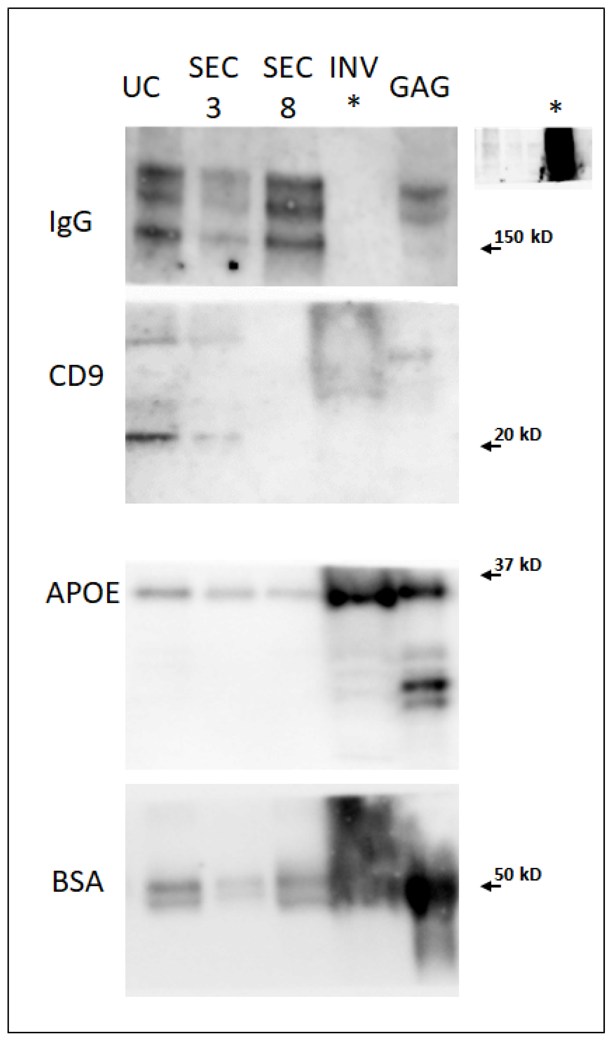 Ijms 22 11144 g002 550