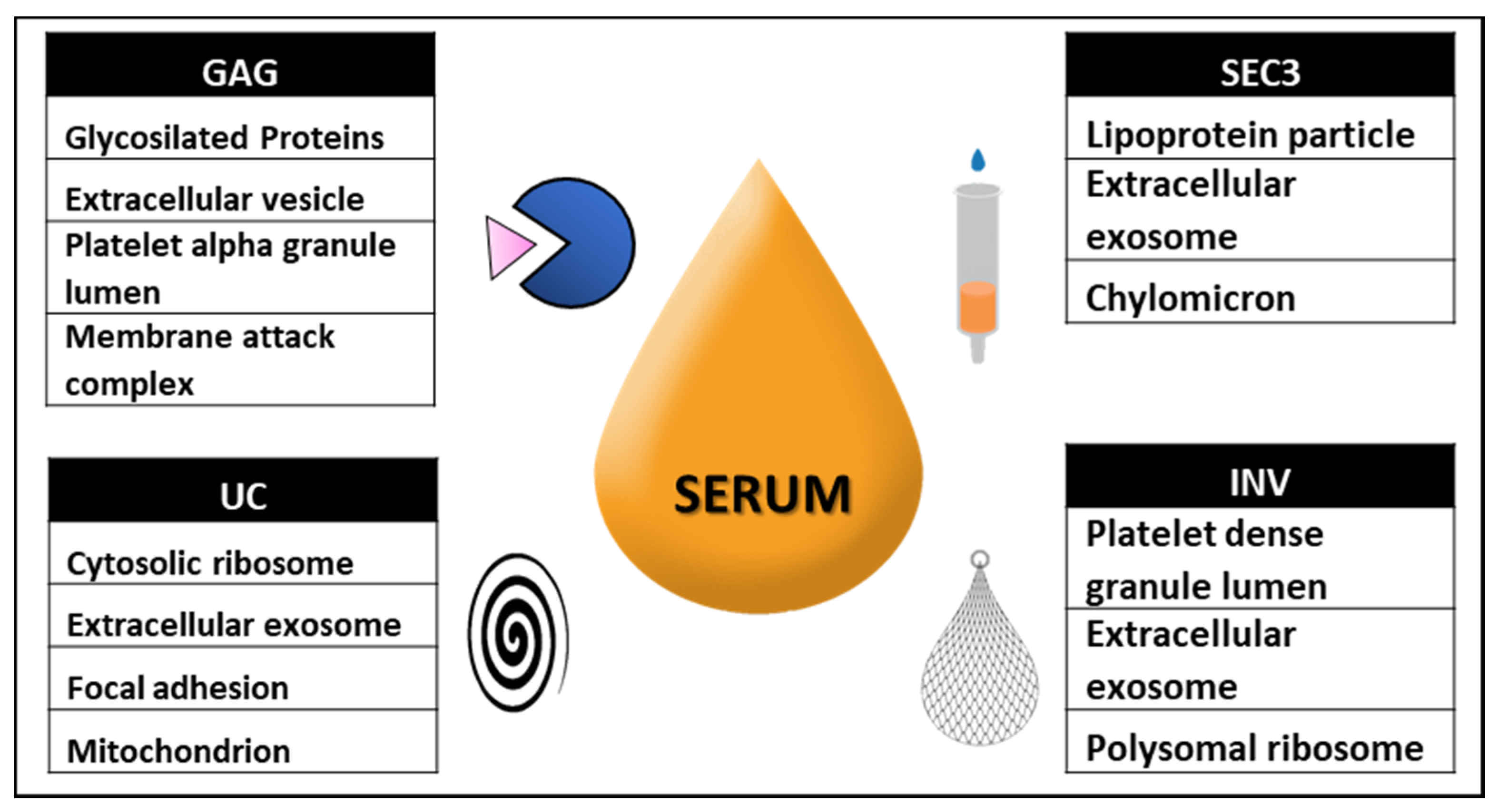 Ijms 22 11144 g005 550
