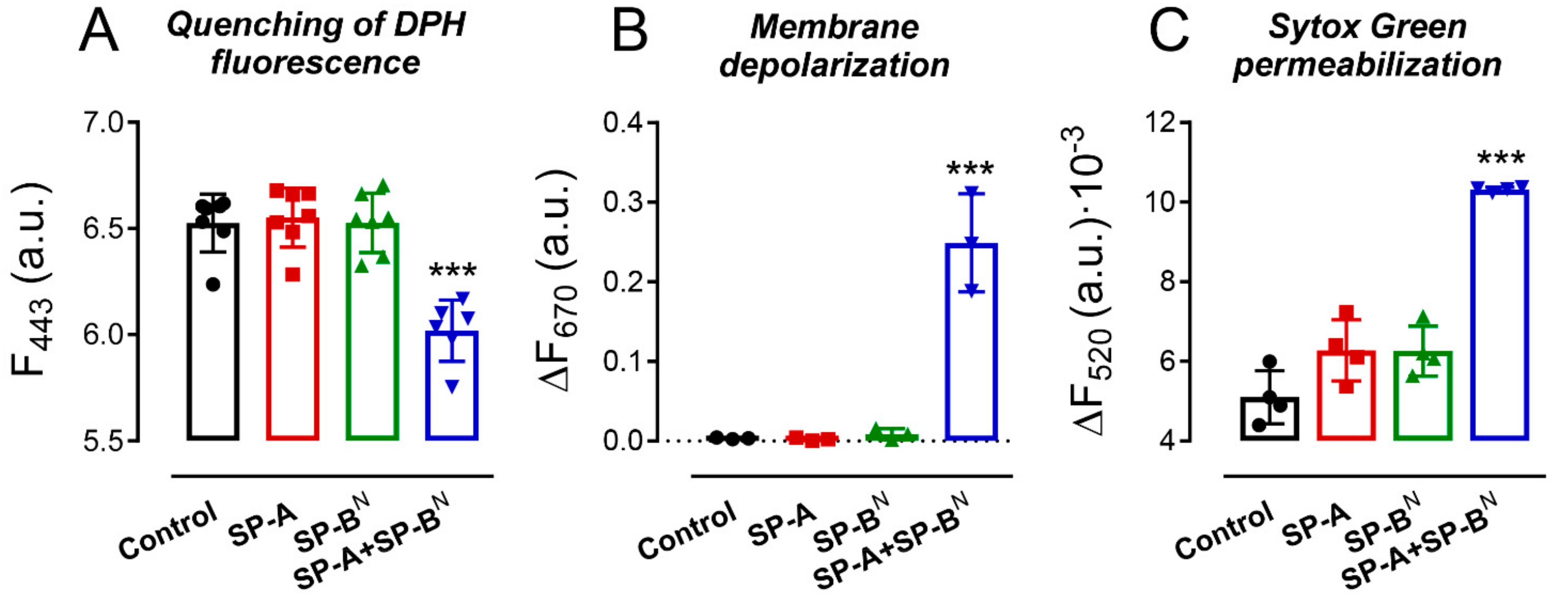 Ijms 22 11146 g002 Ijms 22 11146 g002