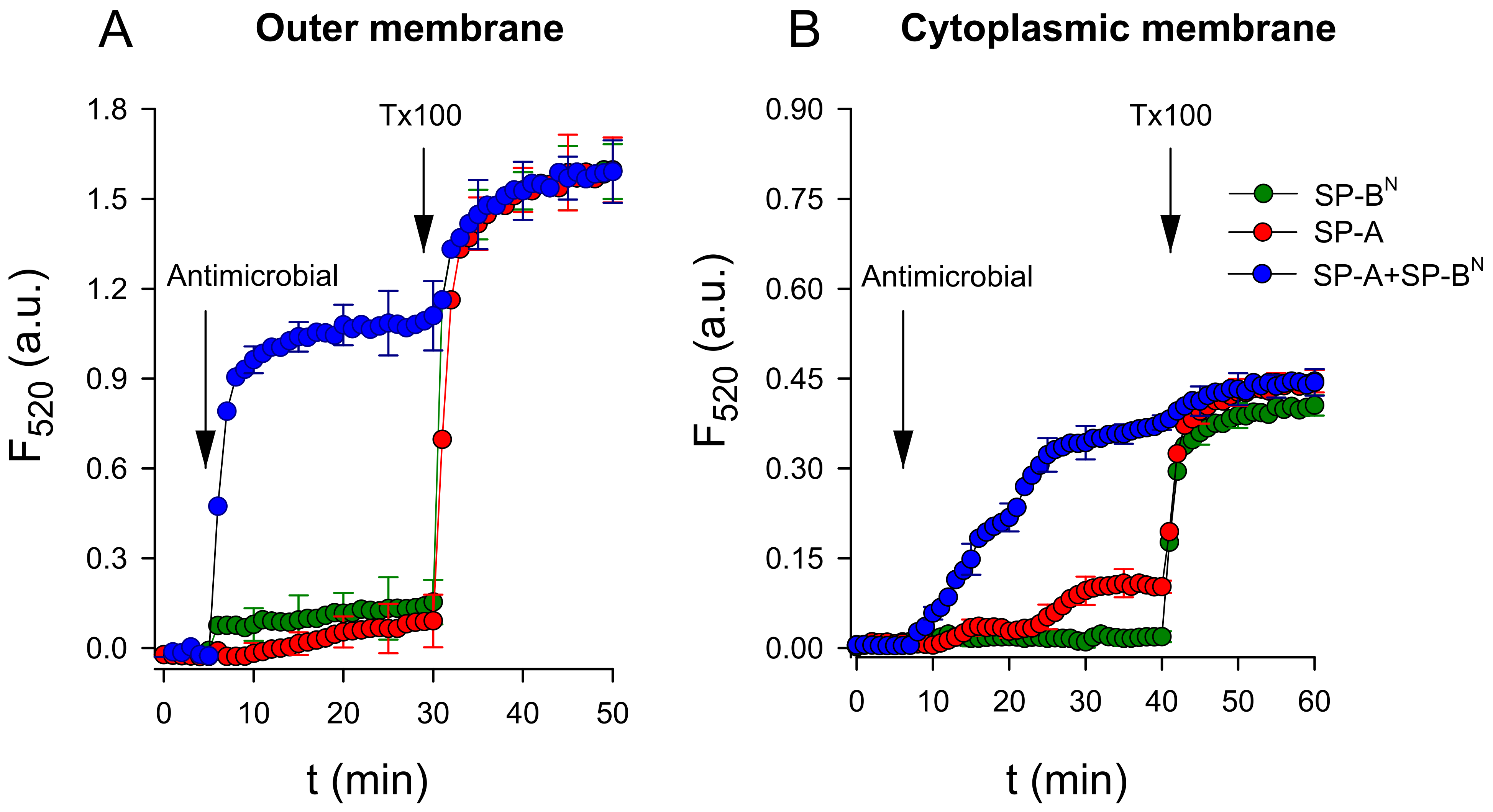 Ijms 22 11146 g005 Ijms 22 11146 g005
