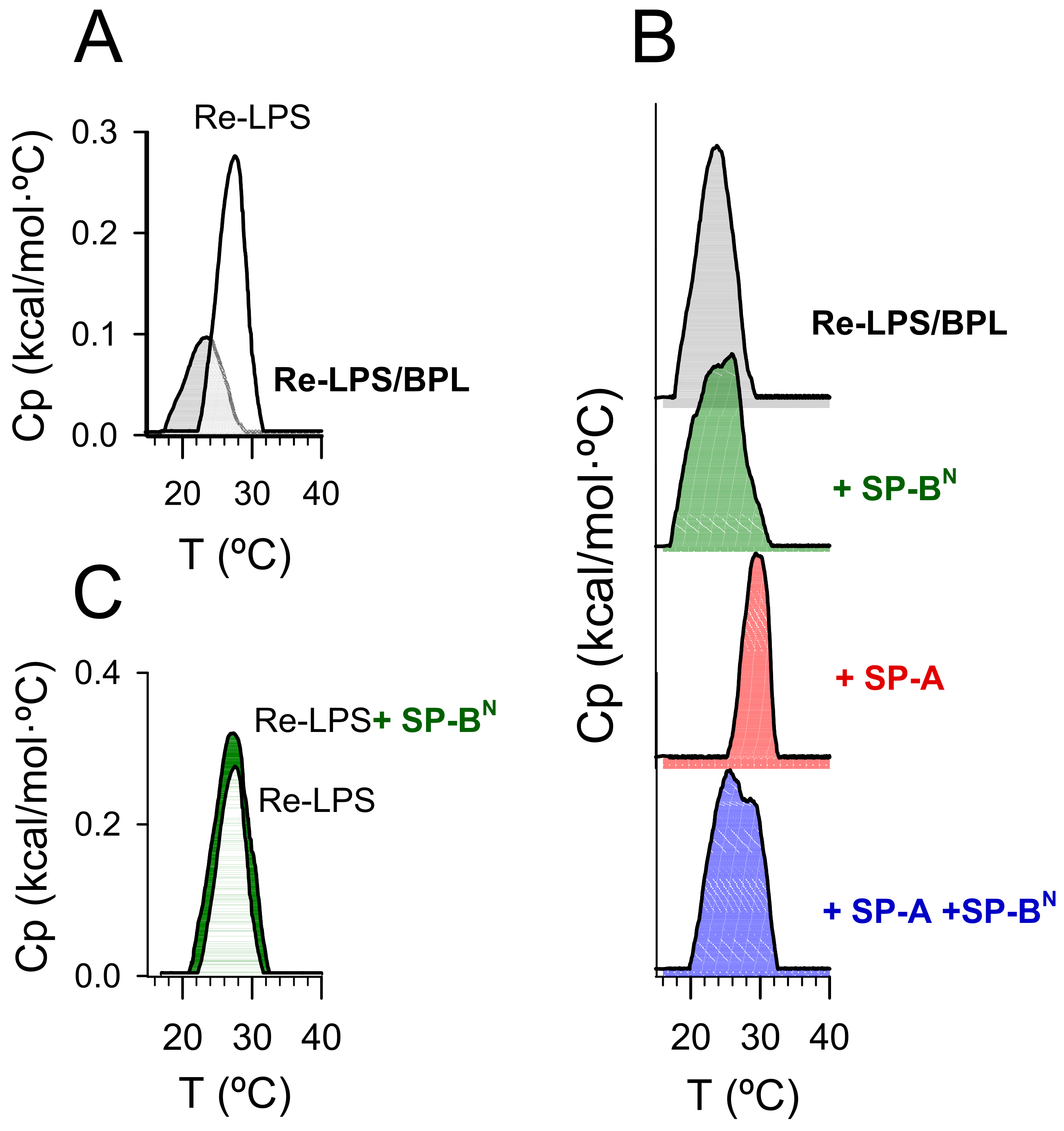 Ijms 22 11146 g006 Ijms 22 11146 g006