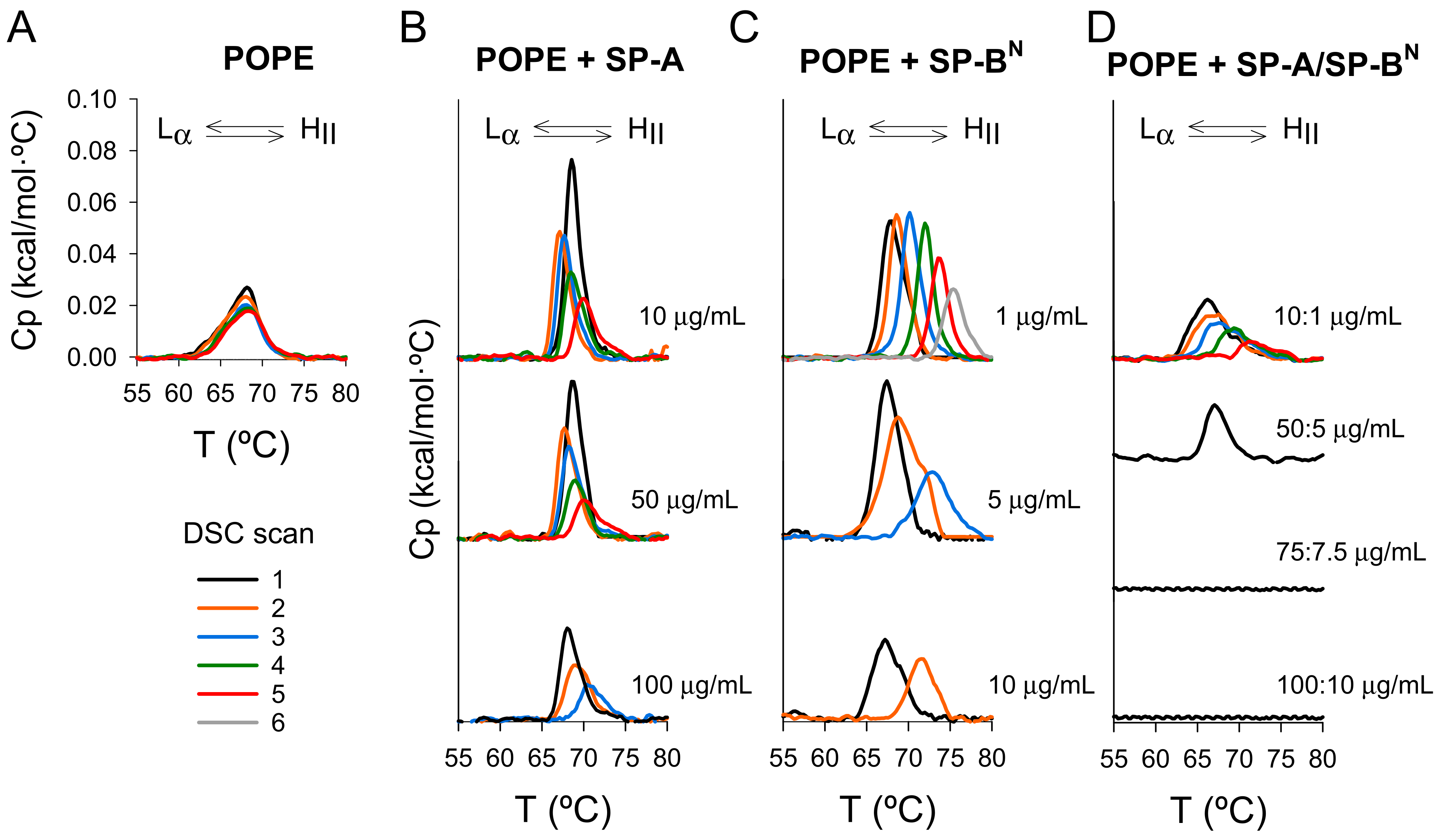 Ijms 22 11146 g009 Ijms 22 11146 g009