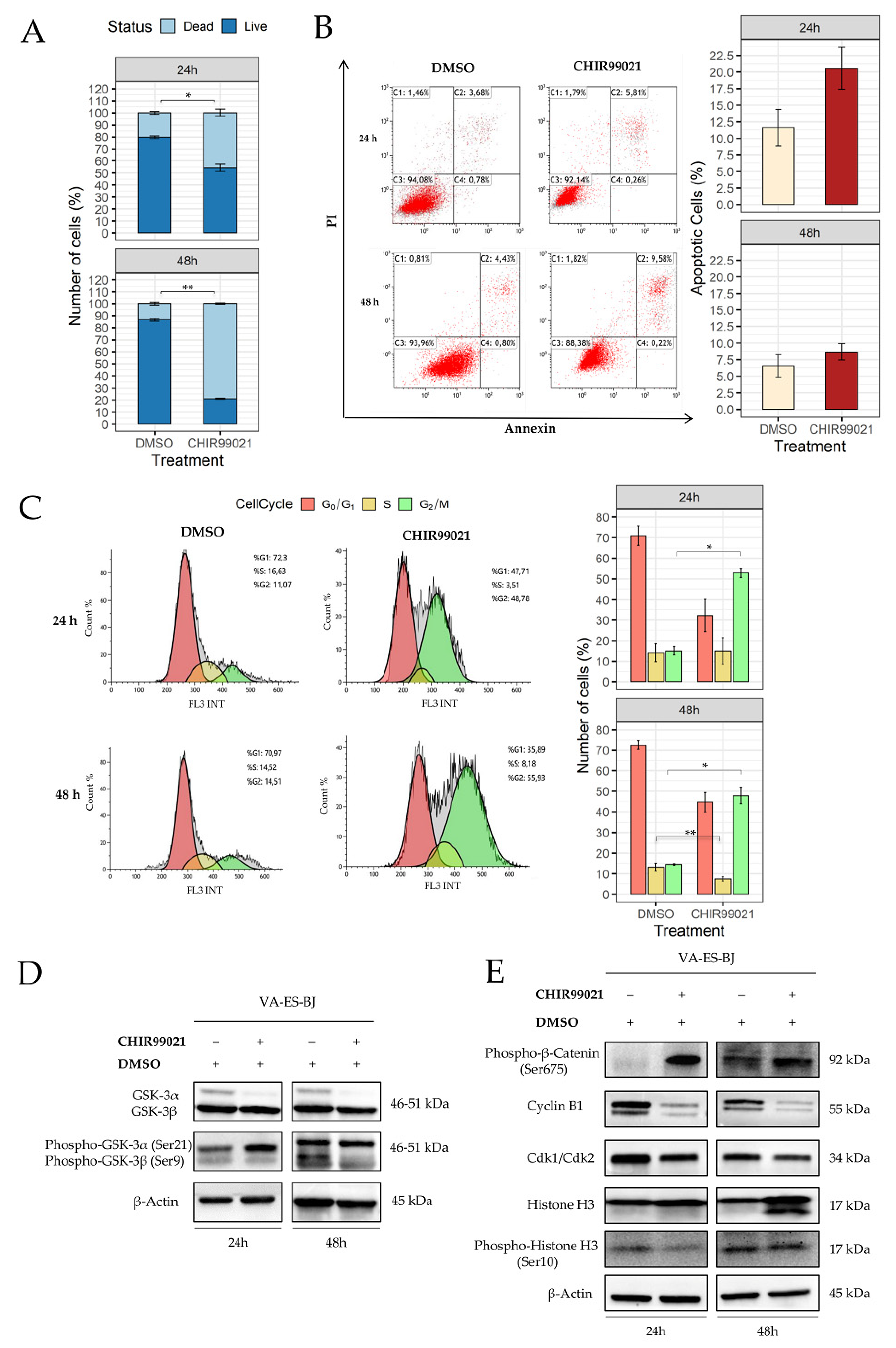 Ijms 22 11147 g004 Ijms 22 11147 g004
