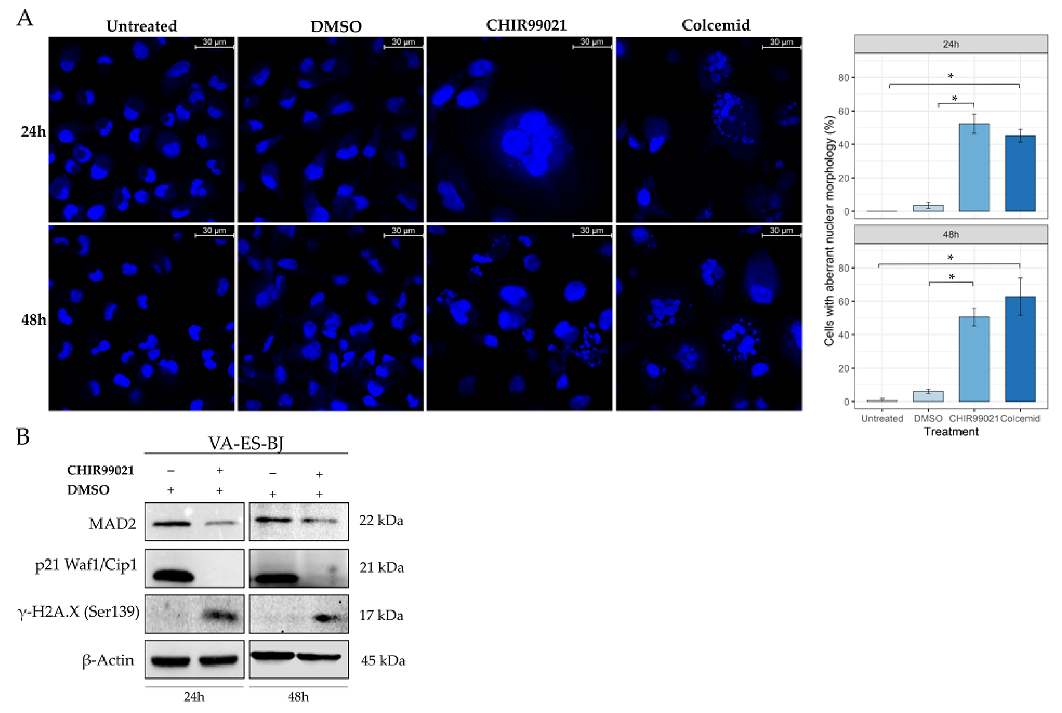 Ijms 22 11147 g005 Ijms 22 11147 g005
