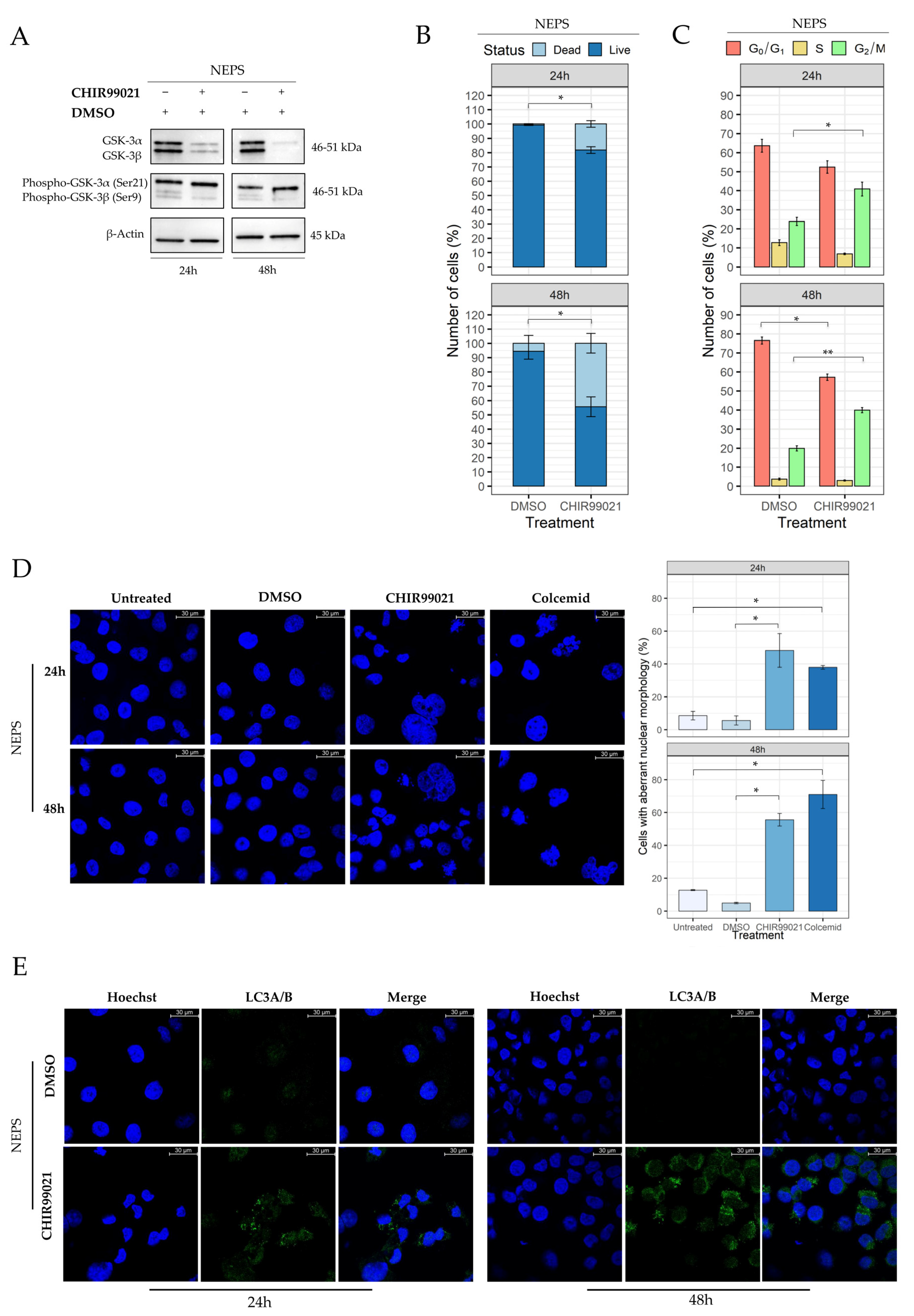 Ijms 22 11147 g008 Ijms 22 11147 g008