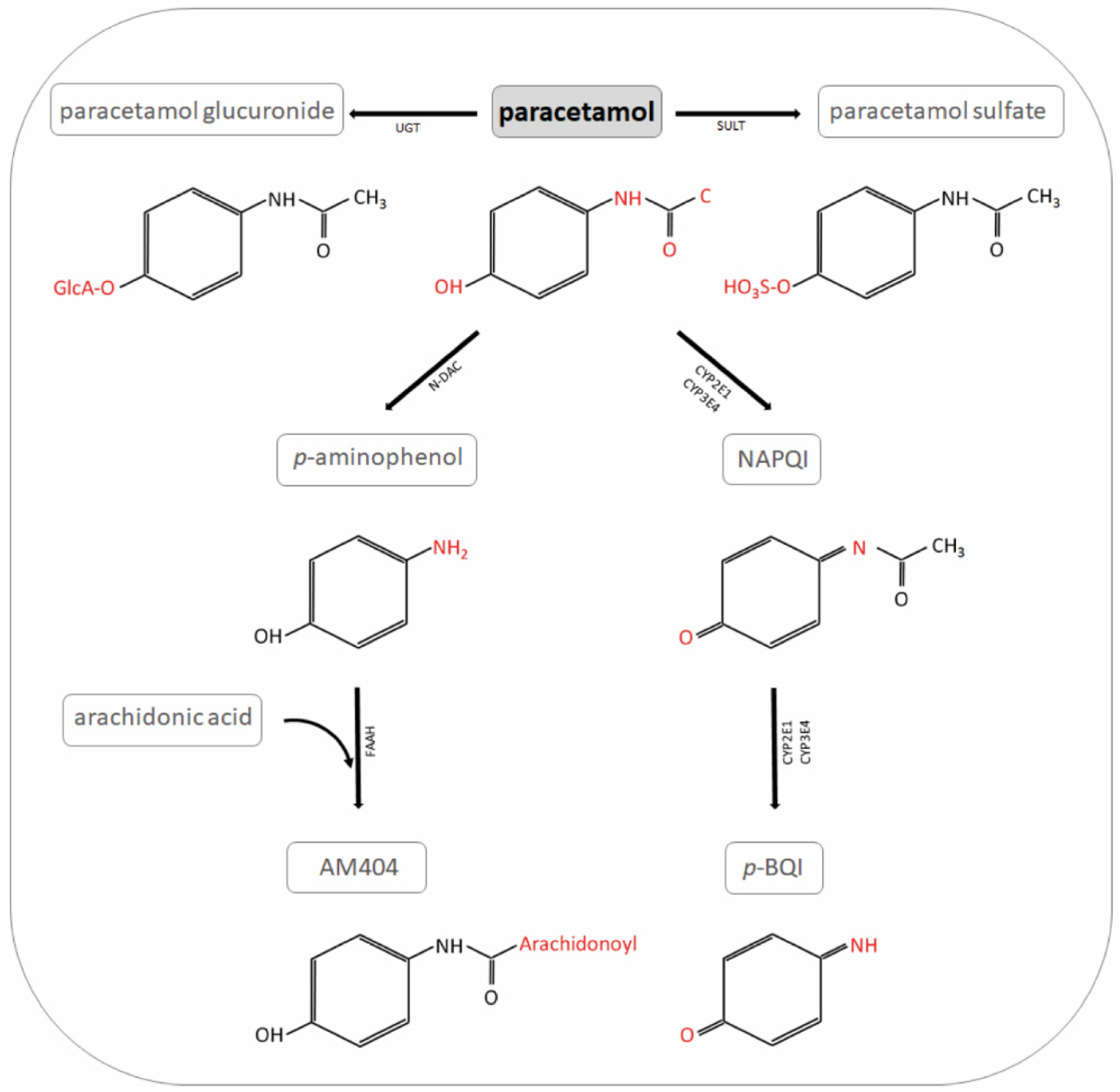 acetaminophen synthesis