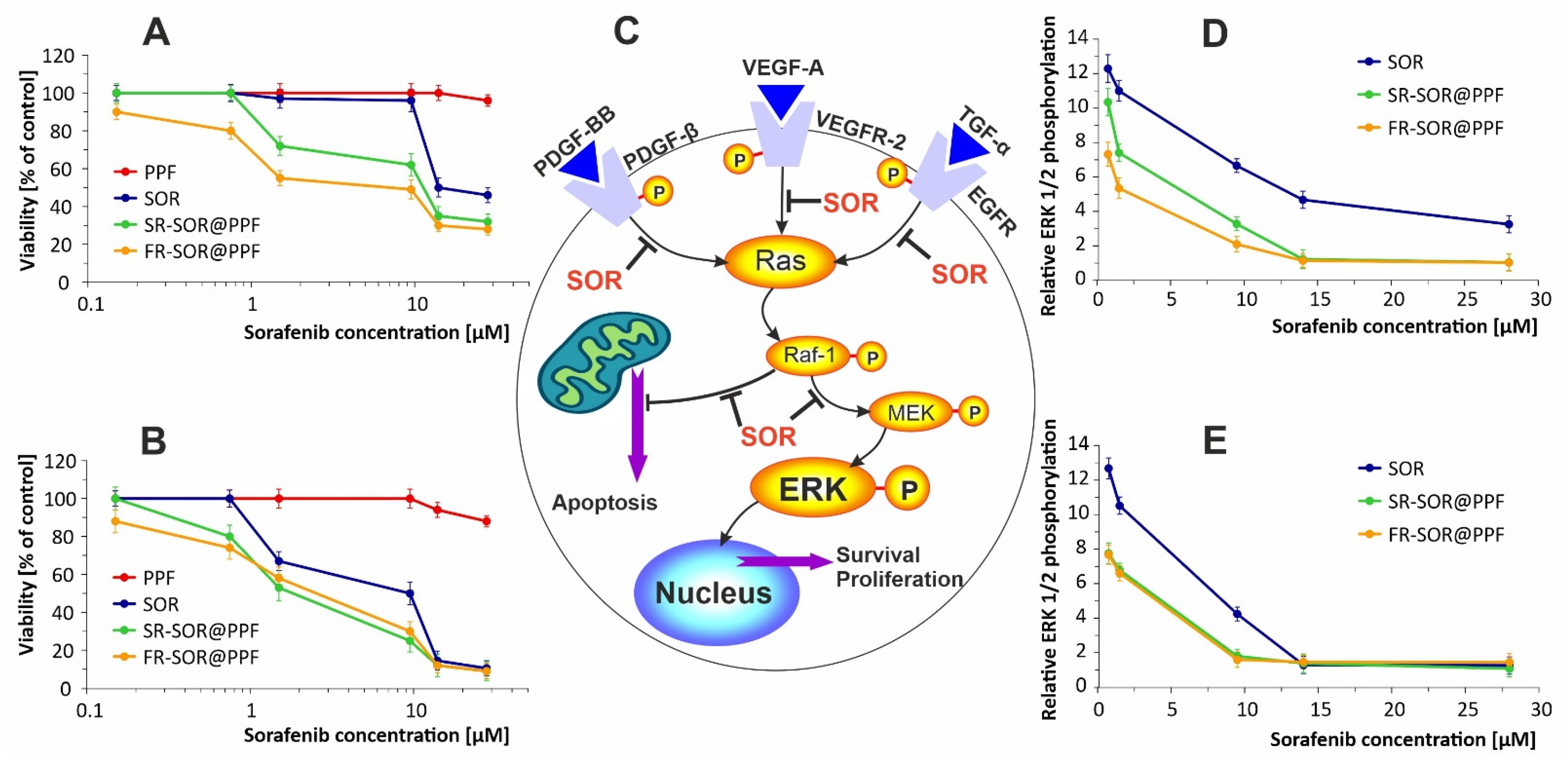 Ijms 22 11161 g006 550