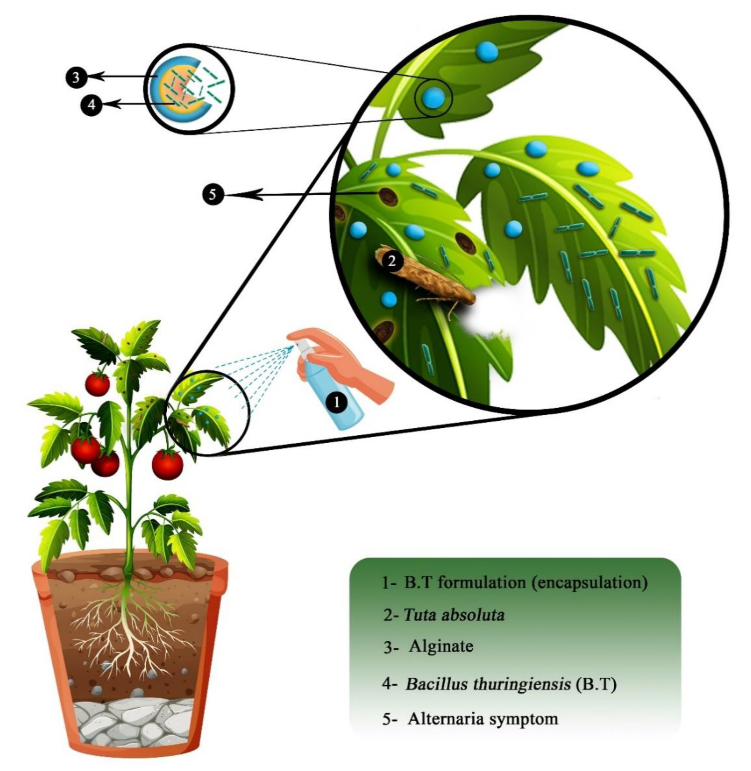 Ijms 22 11165 g007 550