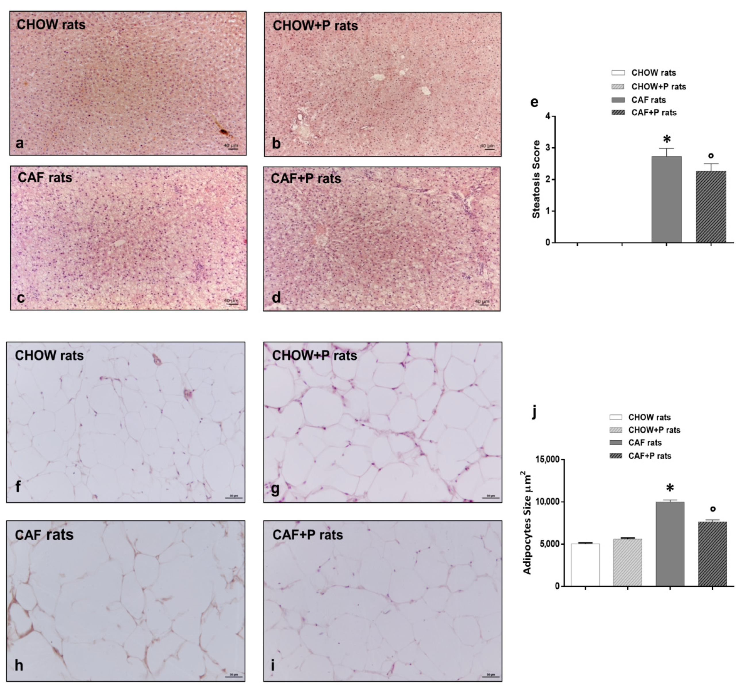 Ijms 22 11171 g002 550