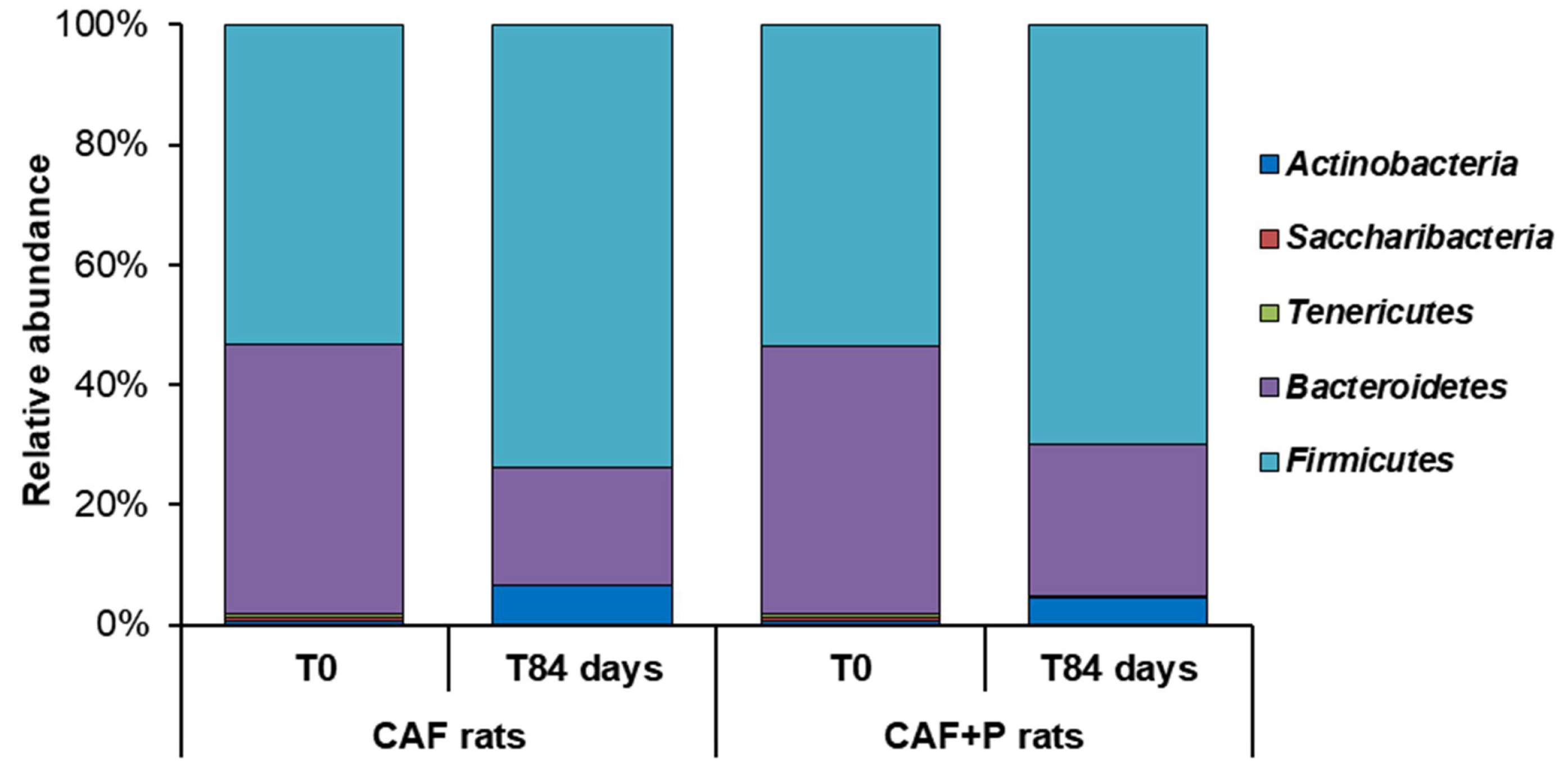 Ijms 22 11171 g006 550