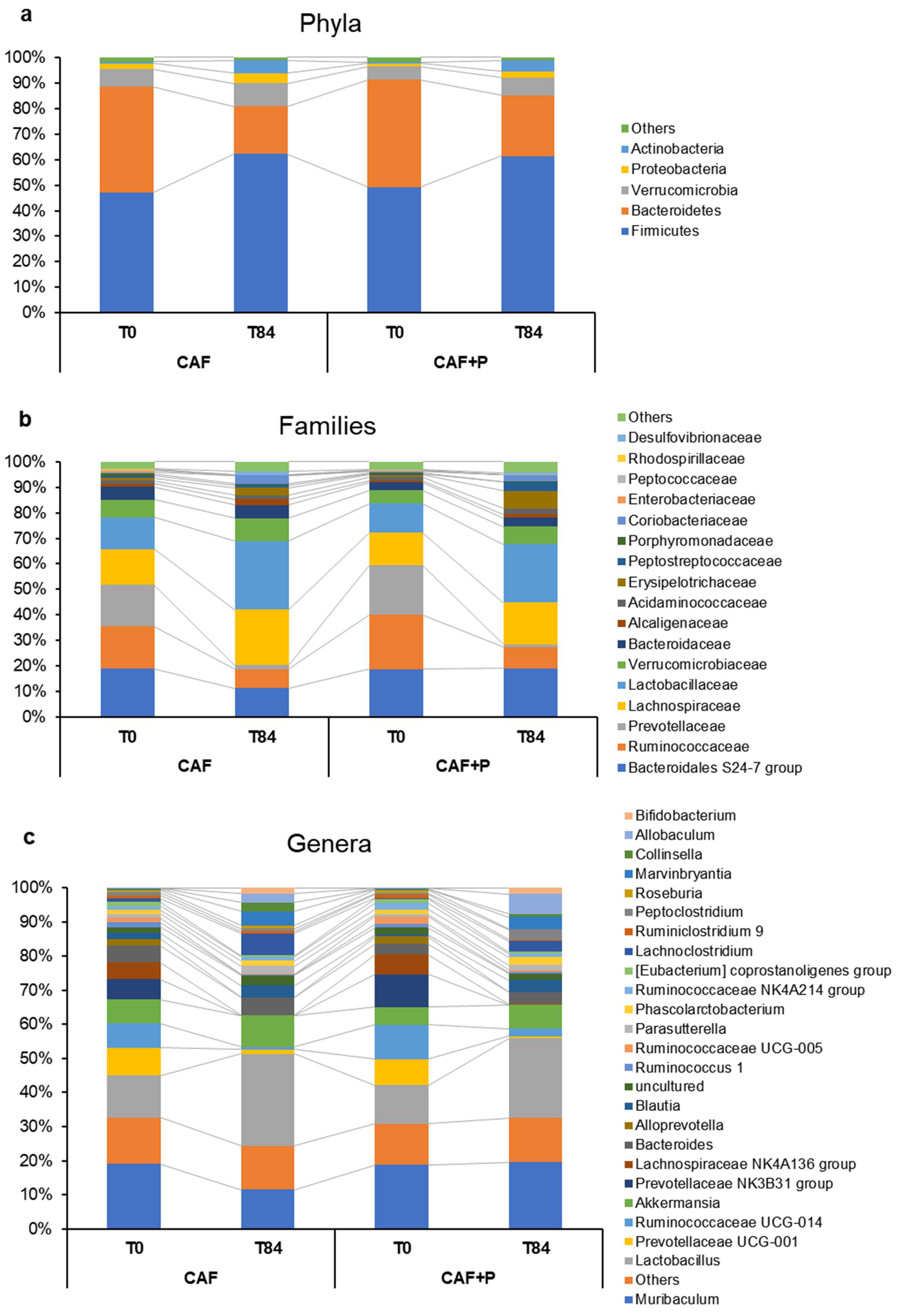 Ijms 22 11171 g008 550